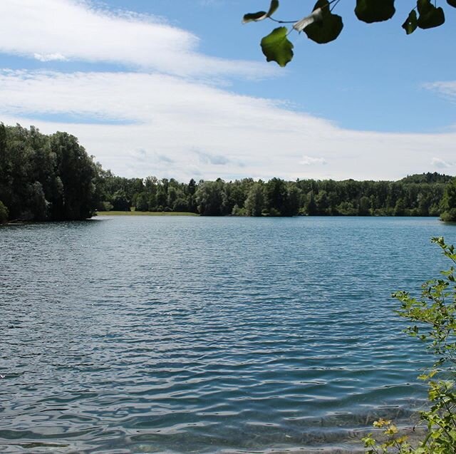 SEEN SPEZIAL 💦 
Welcher See ist euer Favorit?
(1) Sendener Seen
(2) Ludwigsfelder Baggersee
(3) Pfuhler Baggersee
(4) Sch&uuml;tzensee
(5) Riedlsee

#seen #baden #sommer