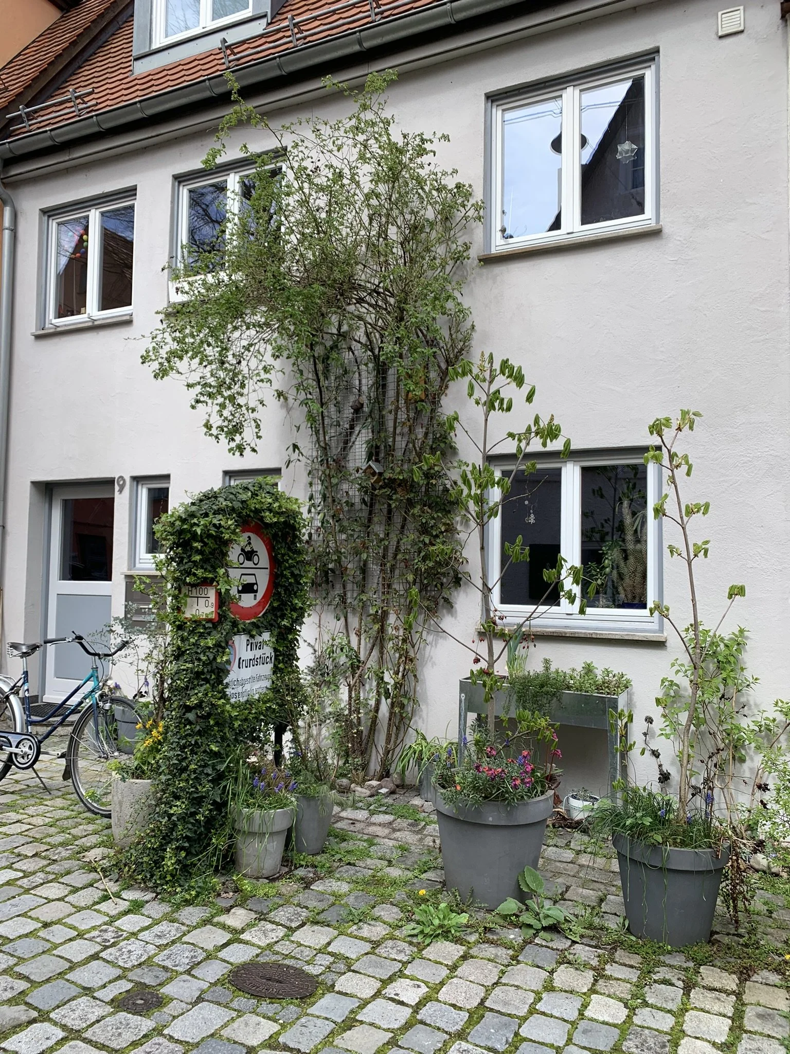 Stadtgrün in Ulm – eine besondere Stadtführung mit Susanne Steck 