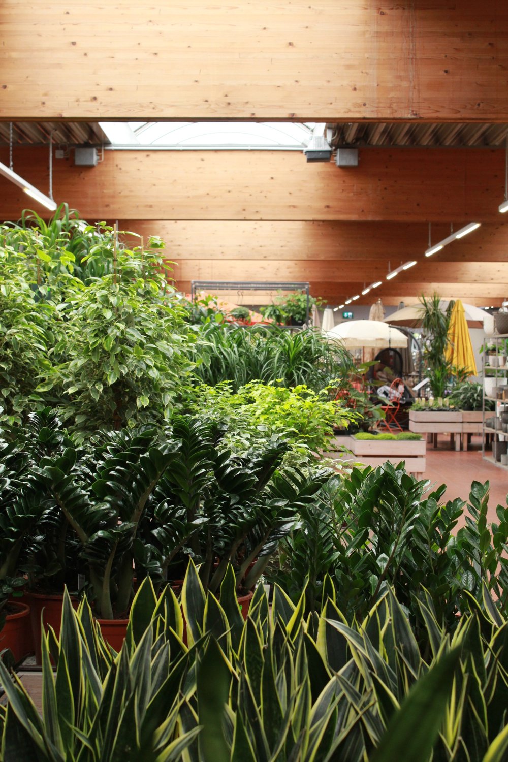 Beiselen  DER Gartenmarkt in Ulm  inULM