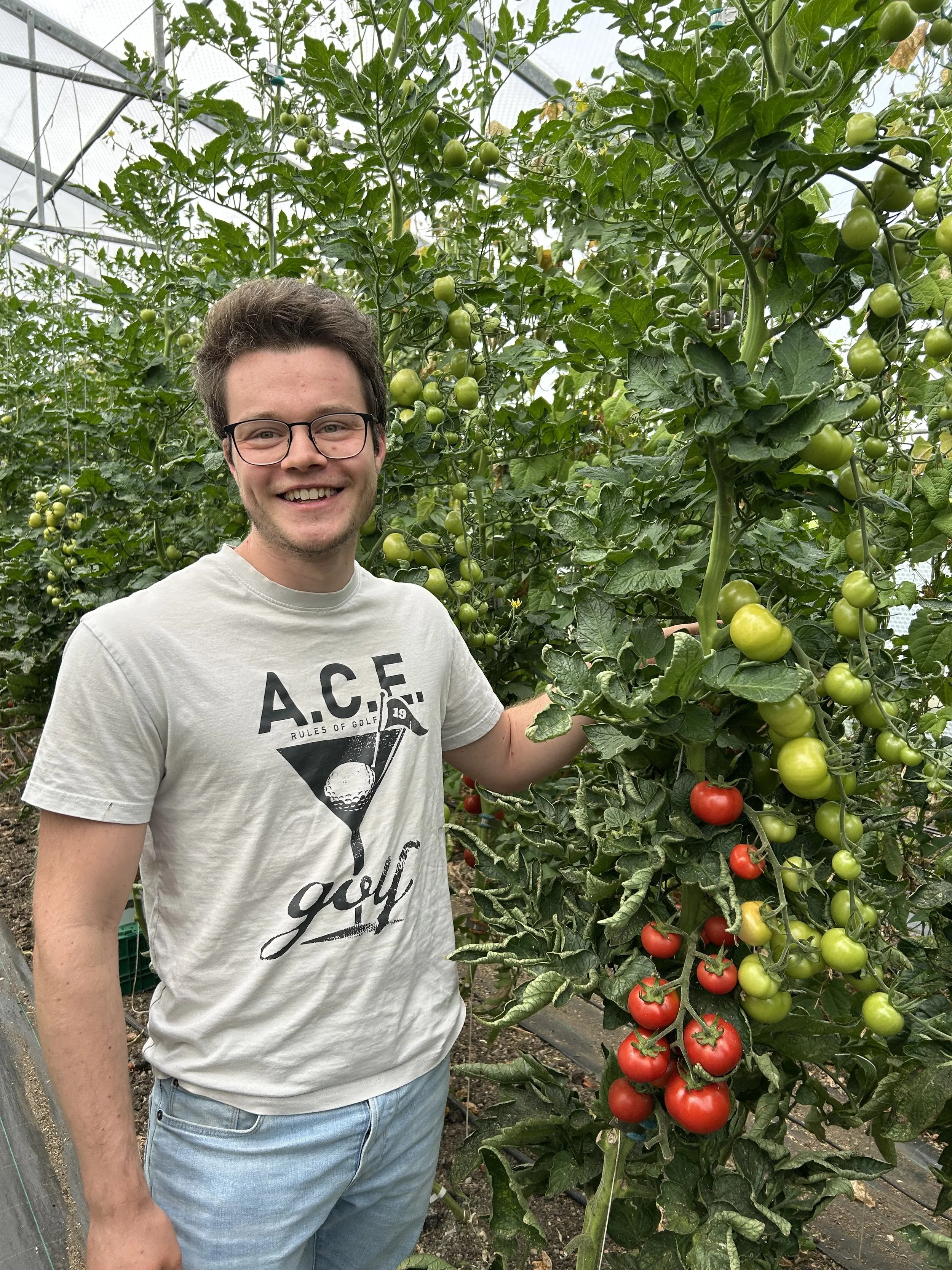 Erdapfel Naturkost: Gemüse vom Biohof Miller