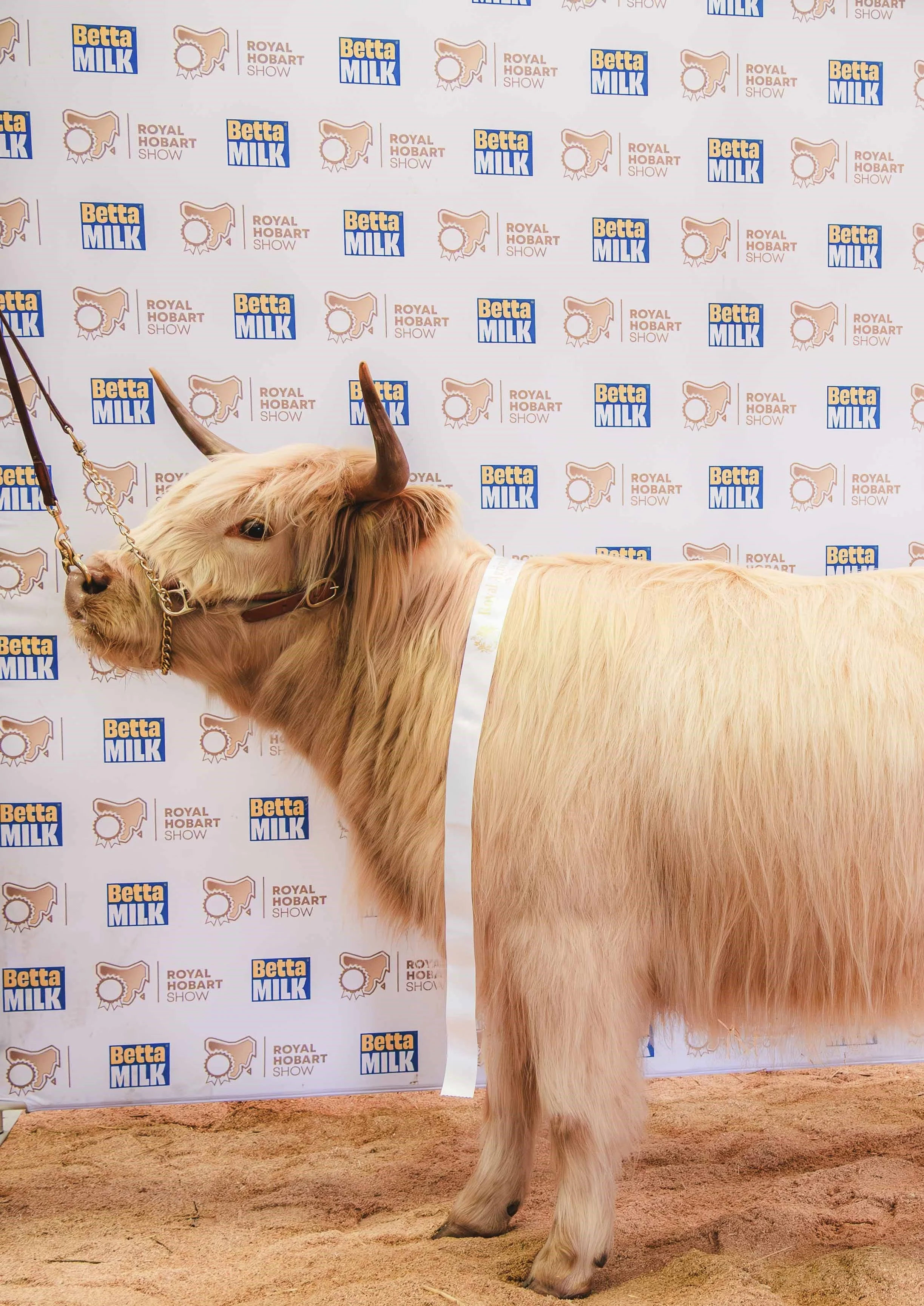 Sorcha - Third Royal Hobart Show 2025