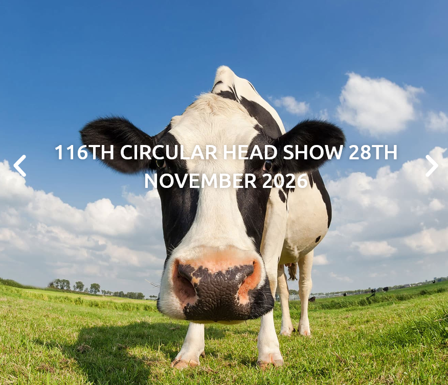 Circular Head Show