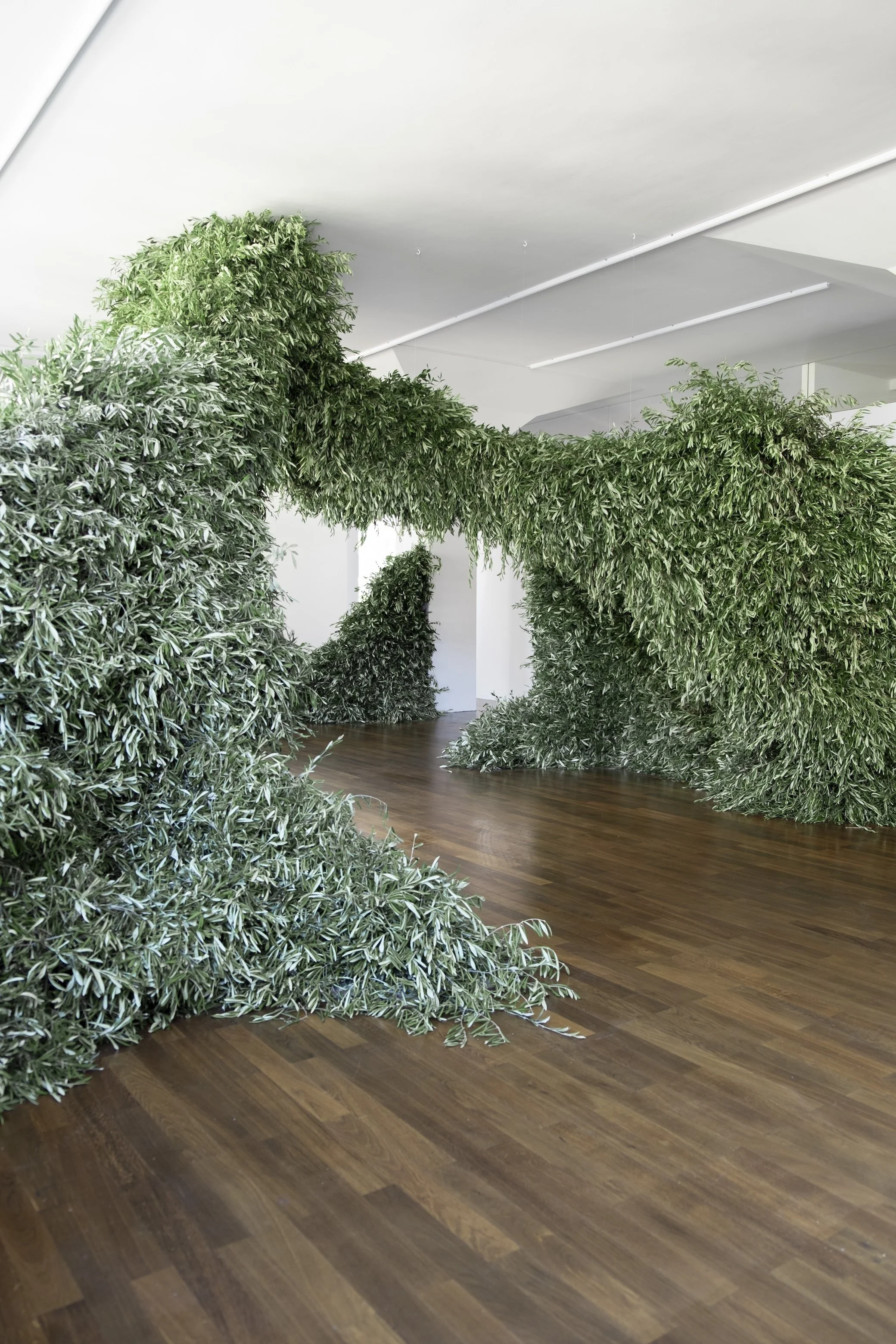 EDIT_DSF6770 Kopie.jpg