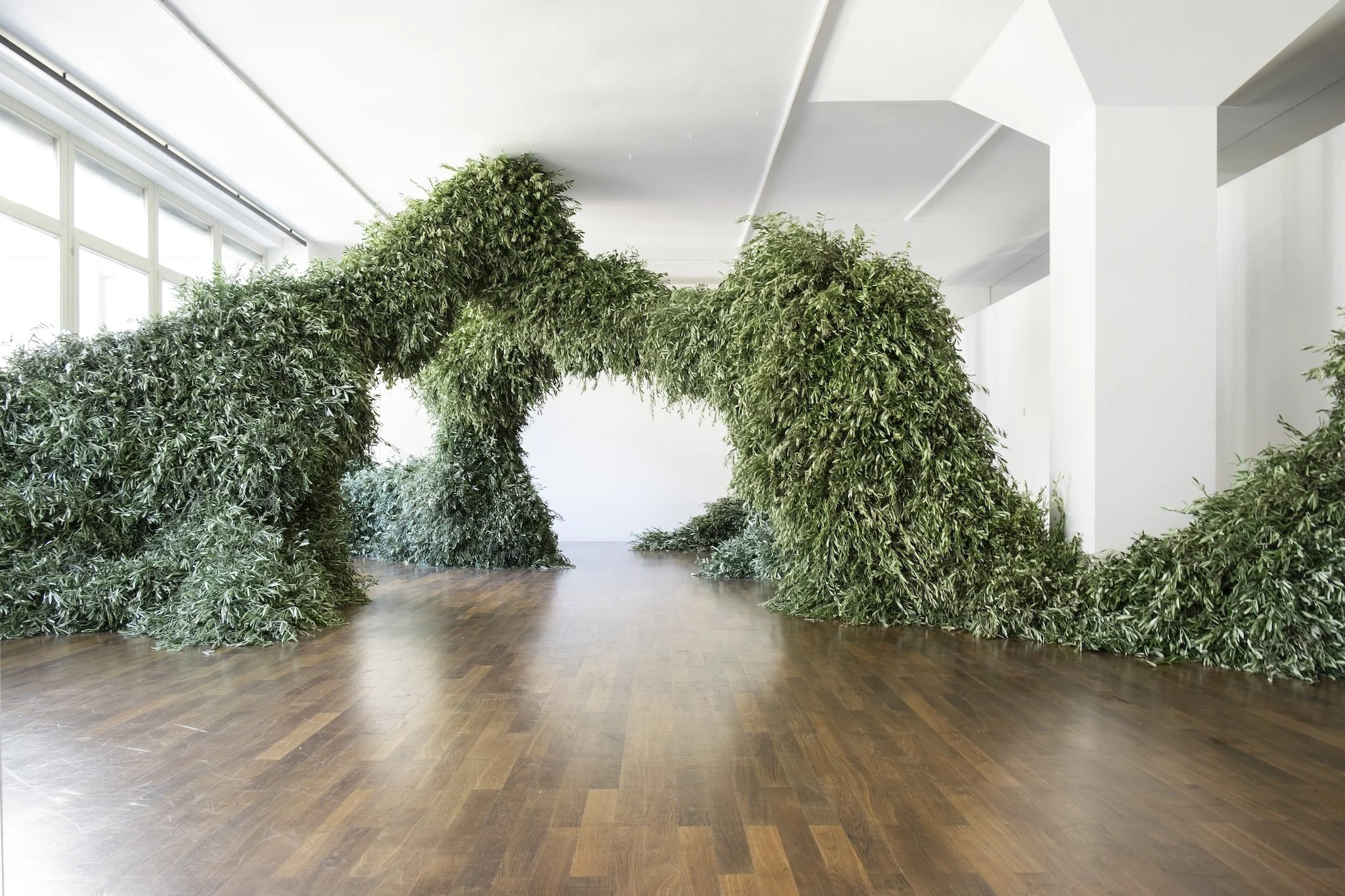 Solo Exhibition "Soft Construct" | Immersive Floral Art Installation