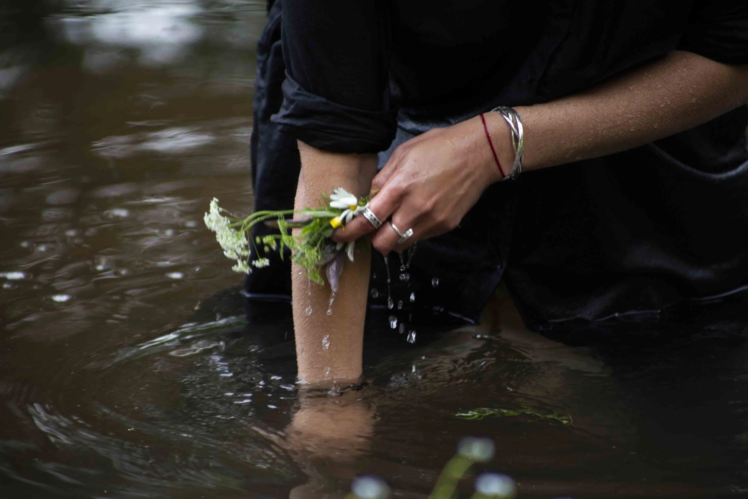 River That Never Rests: Iteration II - Invasion Ecology, 2024, Images by Naomi Williams