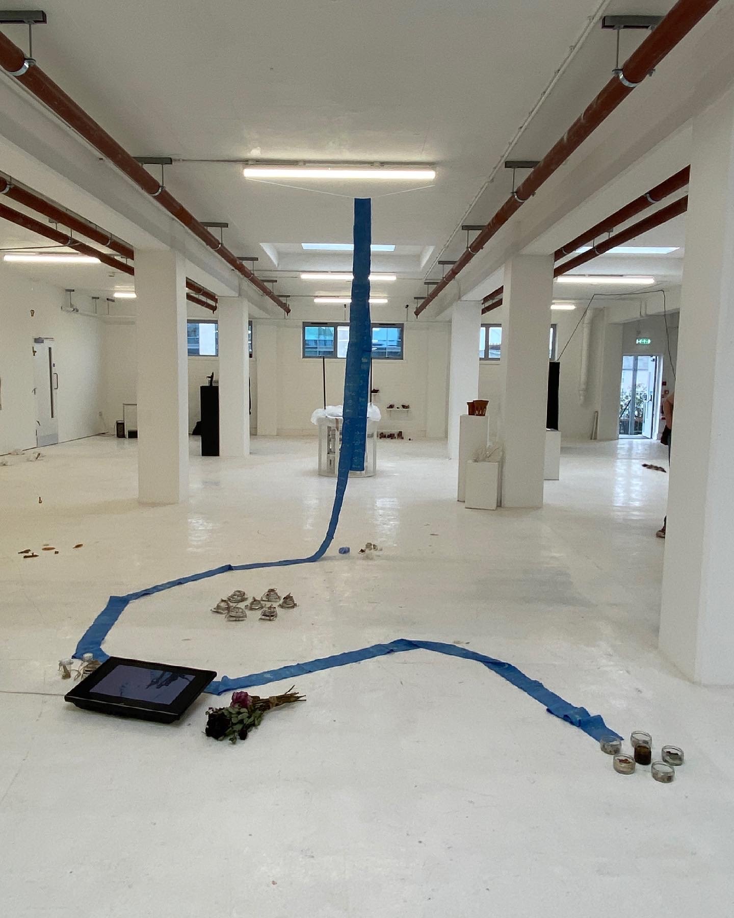 Daily Rituals - TESTSPACE, 2021