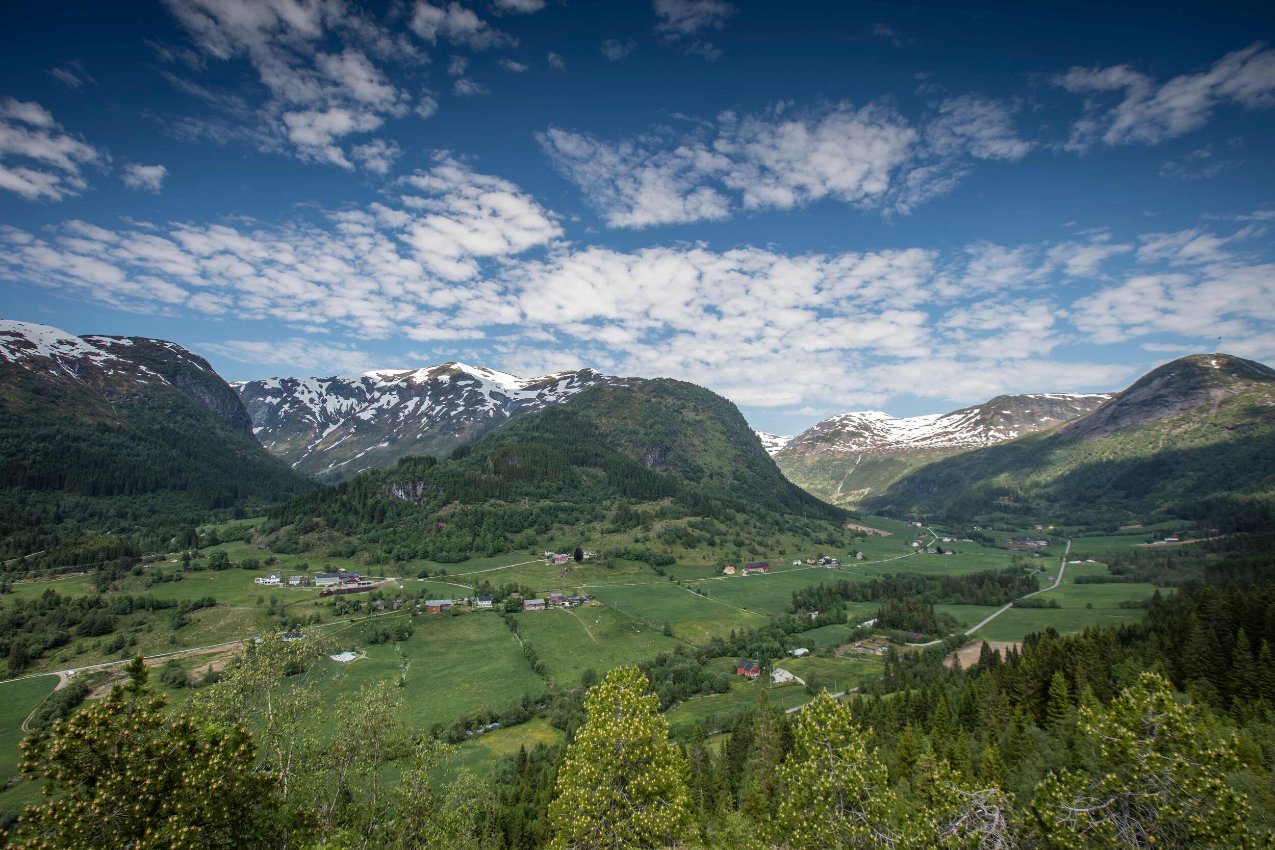 untitled-(1-of-1)-4.jpg