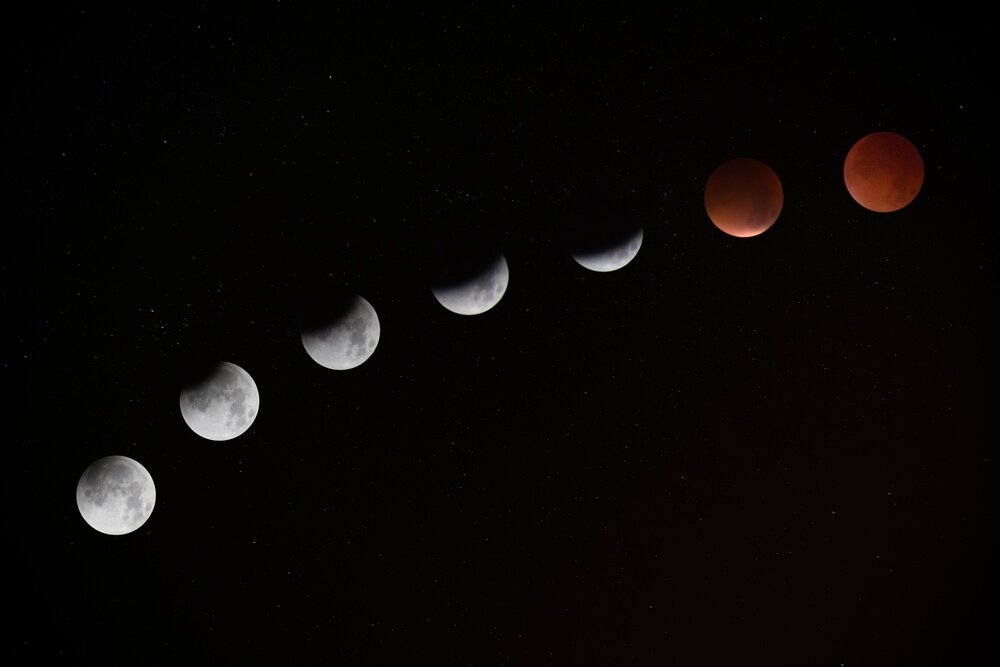 New Moon: Lunar Infusion