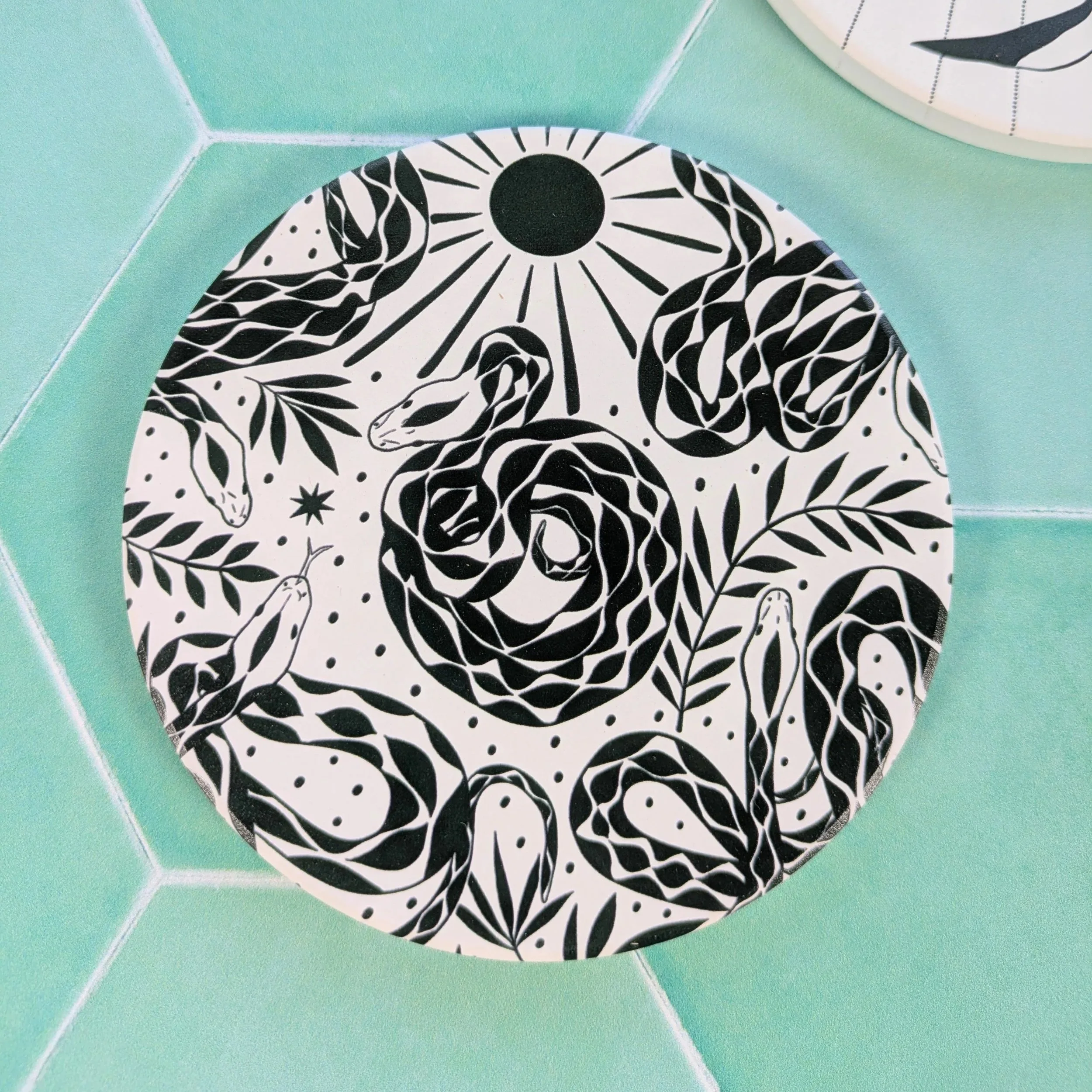 snake+coaster+4.jpg
