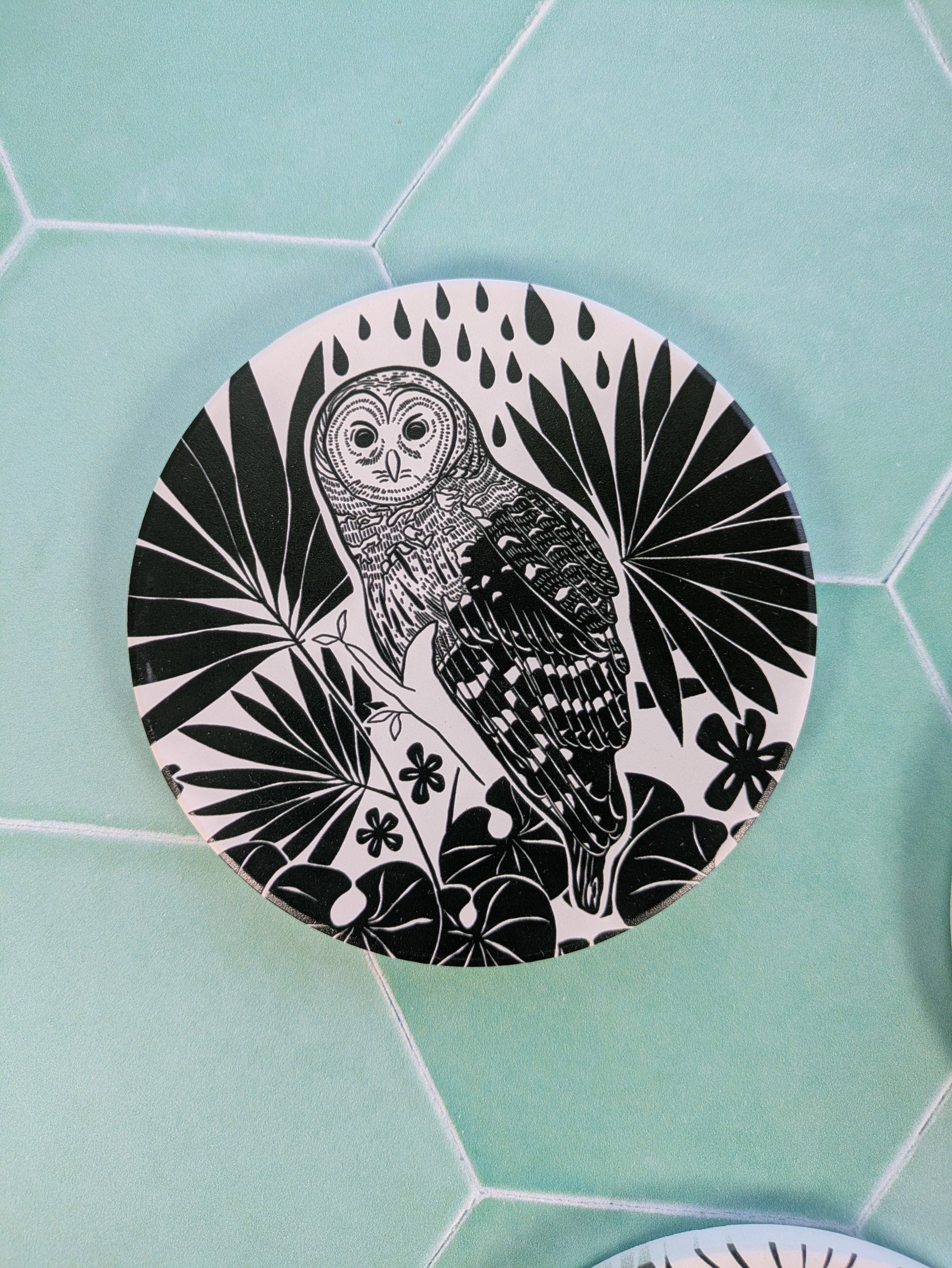 Barred Owl - Coaster