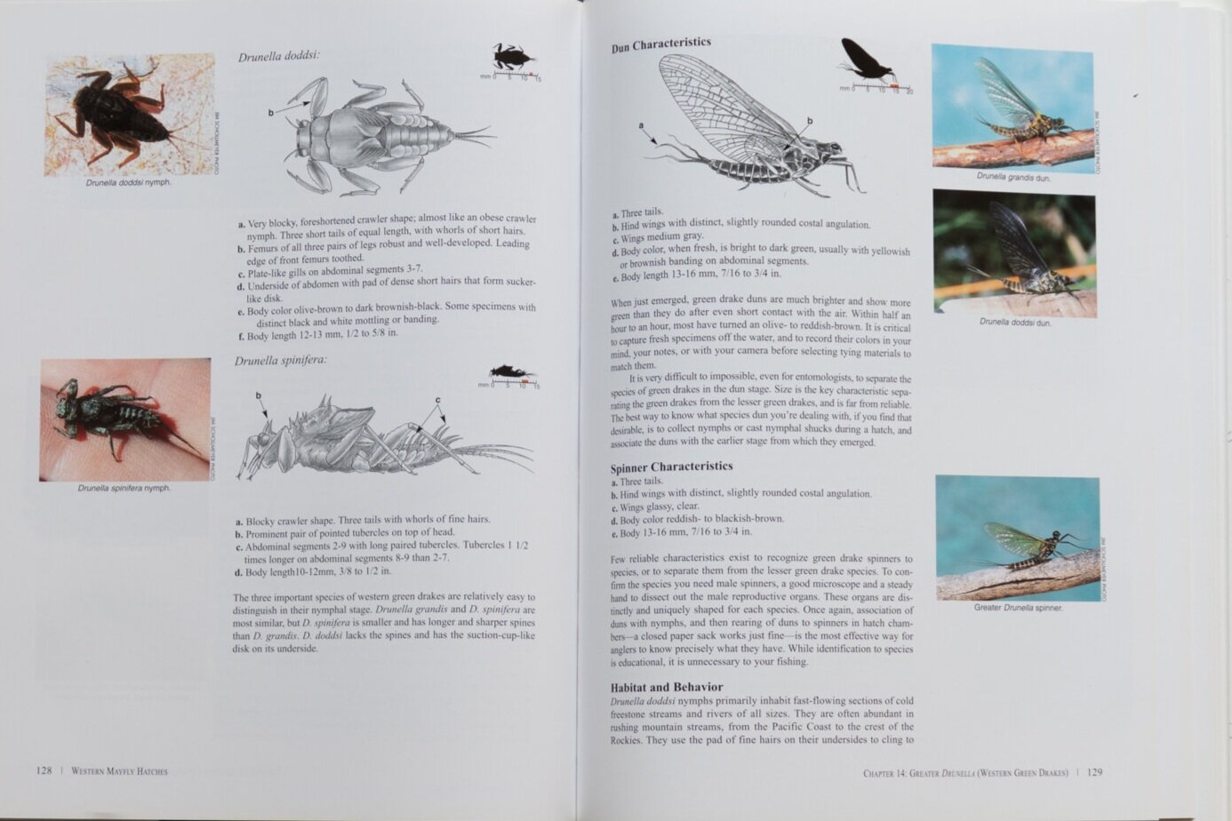 Book+Covers-1.jpg
