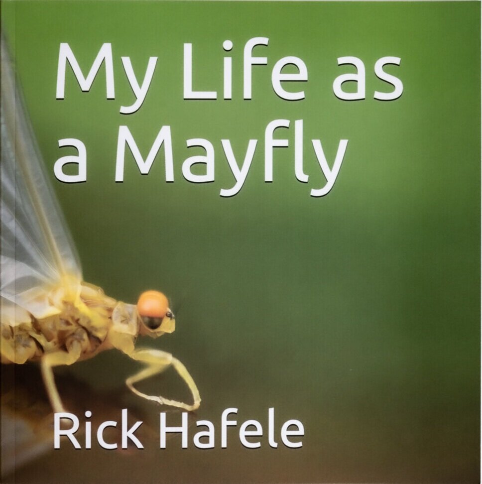 My Life As A Mayfly