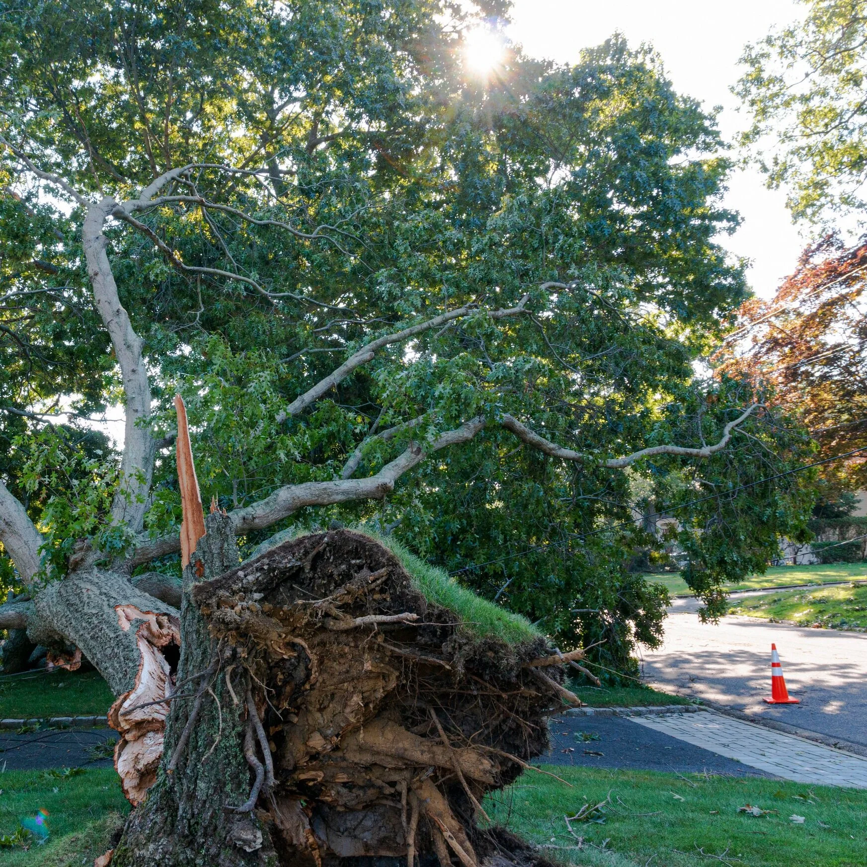 Mayor's Weekly Message: Emergency Disaster Preparedness