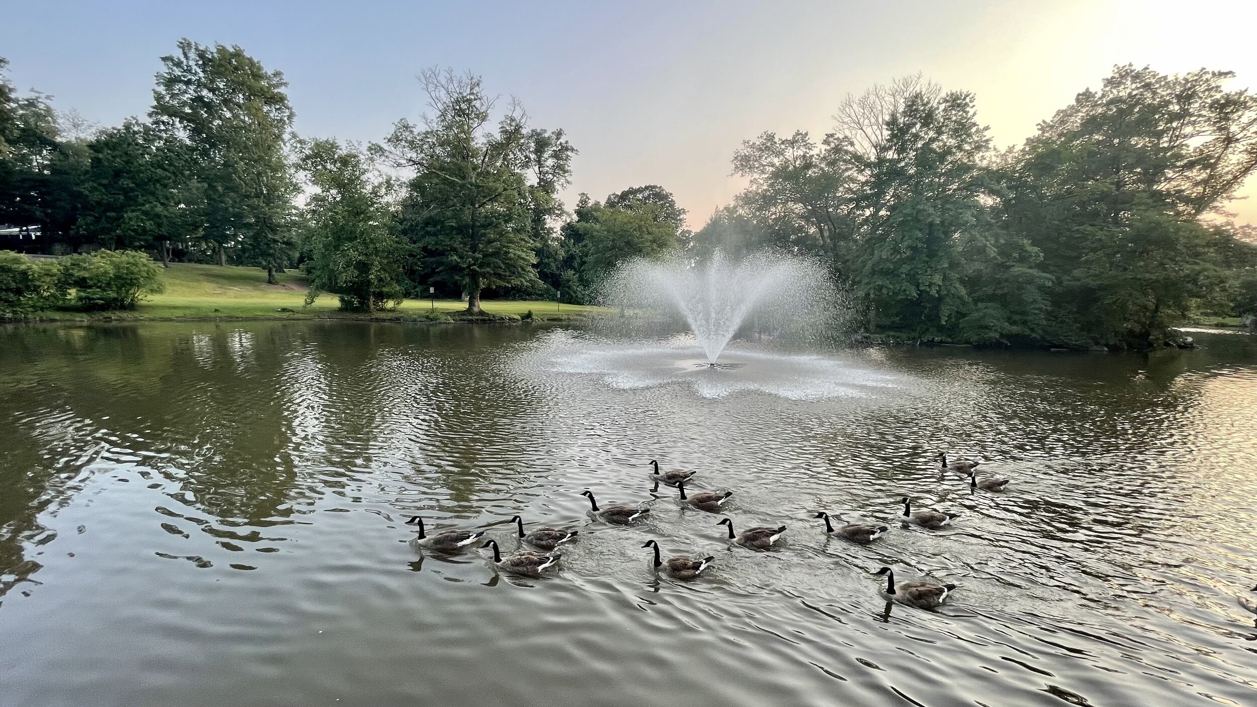 Rec Parks and Fields — Middlesex Borough