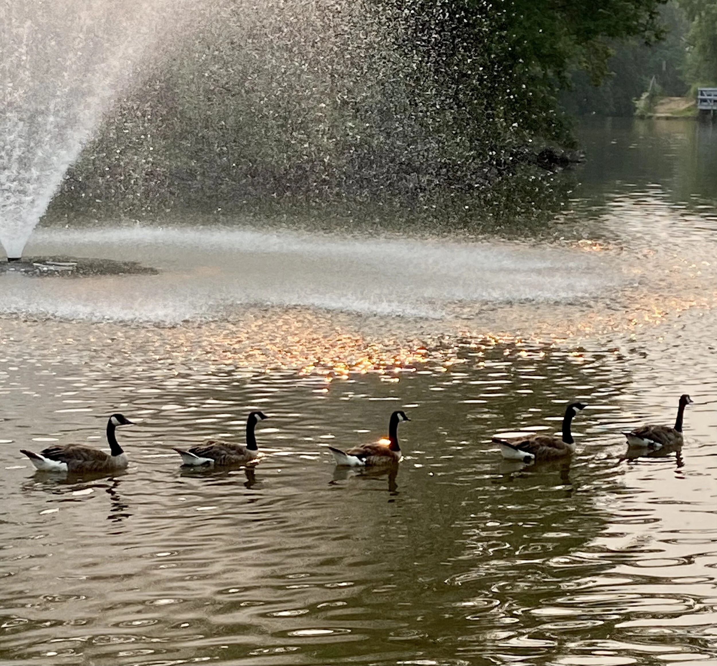 Rec Parks and Fields — Middlesex Borough