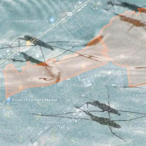 Mosquito Spray Notification: Monday, Aug. 22