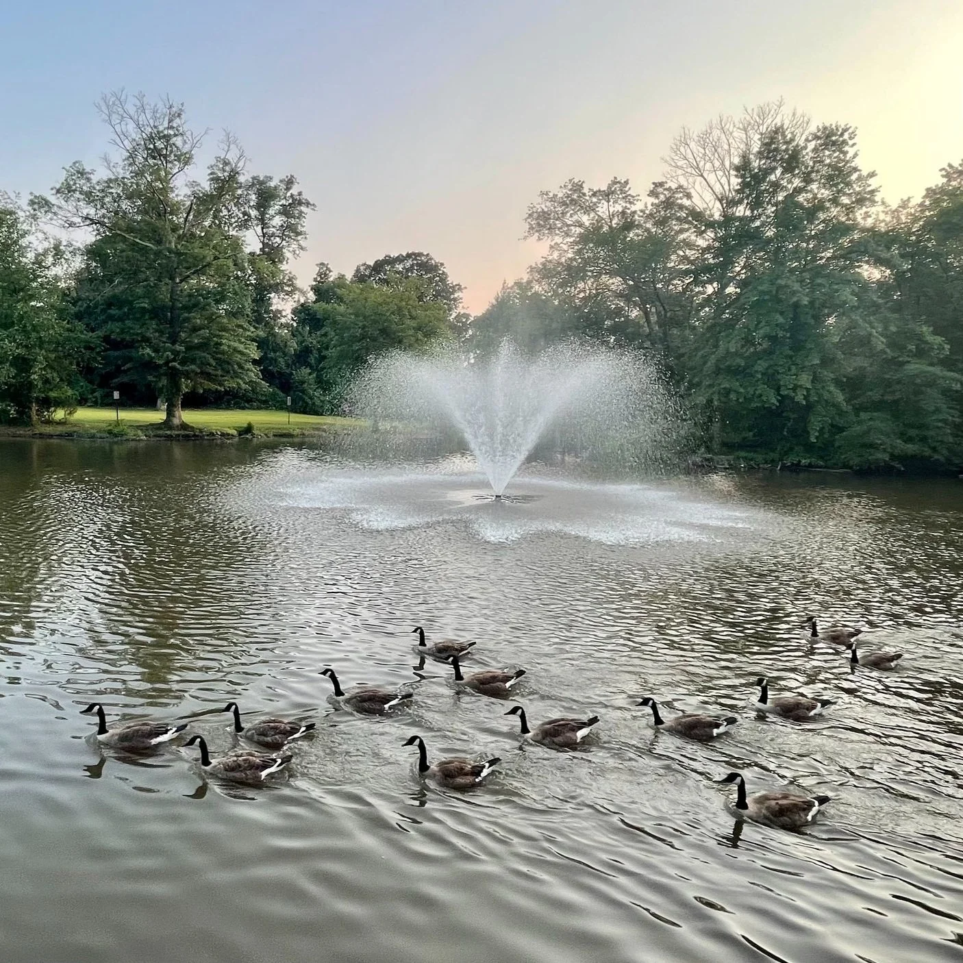 Parks Improvement - Victor Crowell Park Master Plan Public Input Meeting