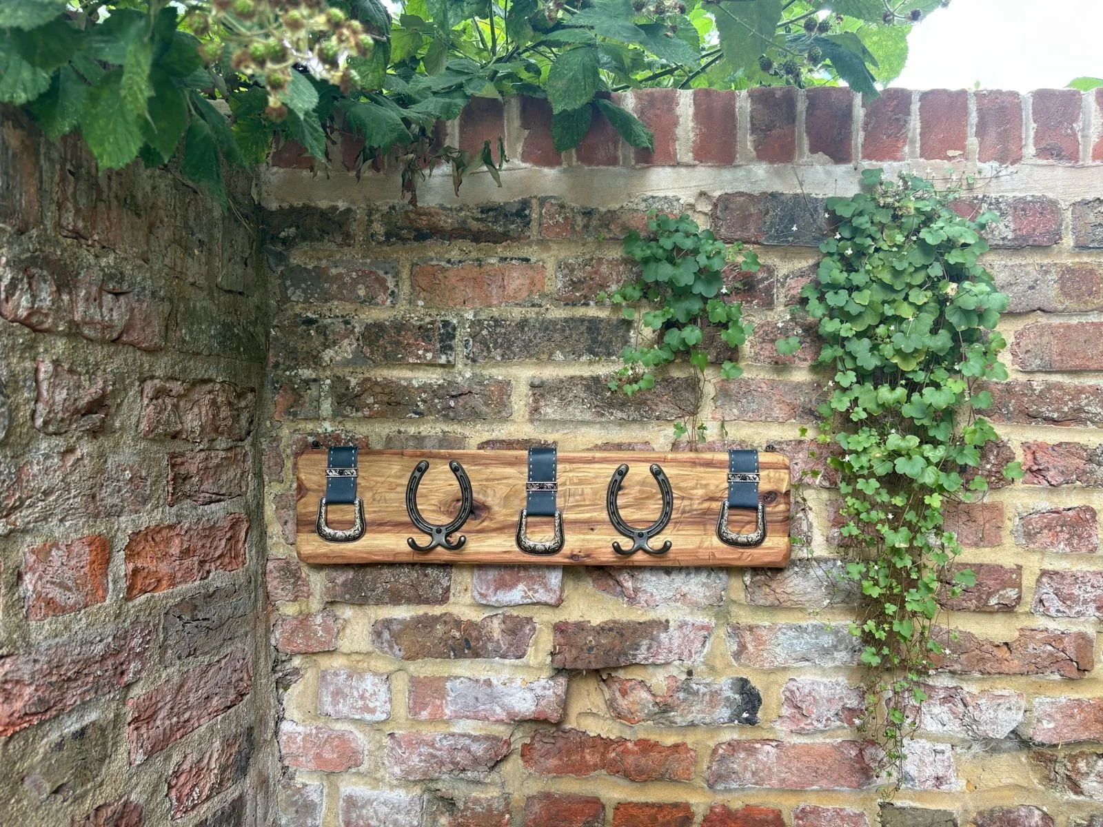 1 2 hooks 3 holders empty.jpeg