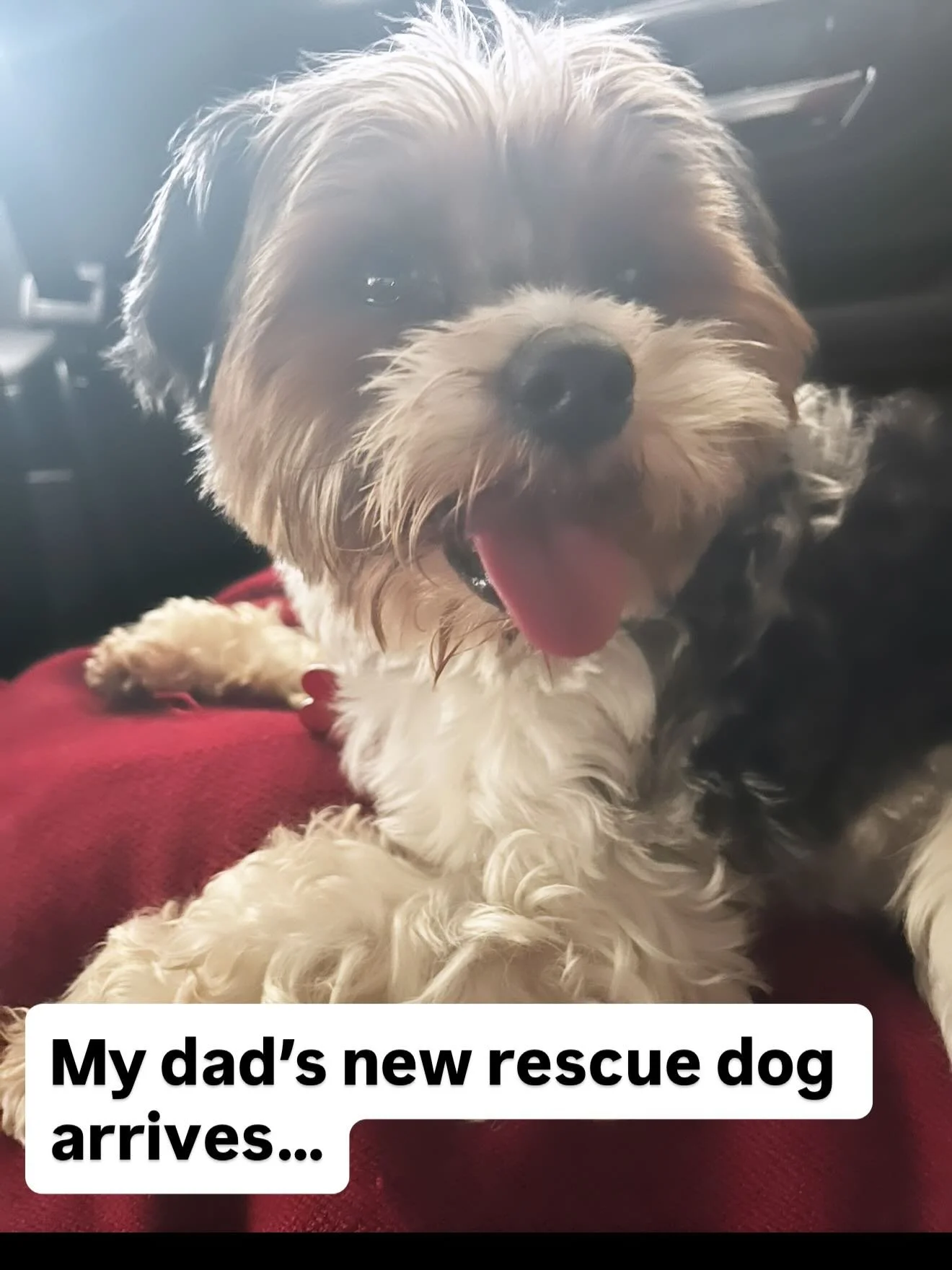 Life is hard &amp; good-
Last week my husband and I went back to LA for our daughter&rsquo;s spring break. We went to the ER with her and all that crazy sickness. Yes. The first trip to ER was in Nashville three weeks prior. Our son was very ill in M