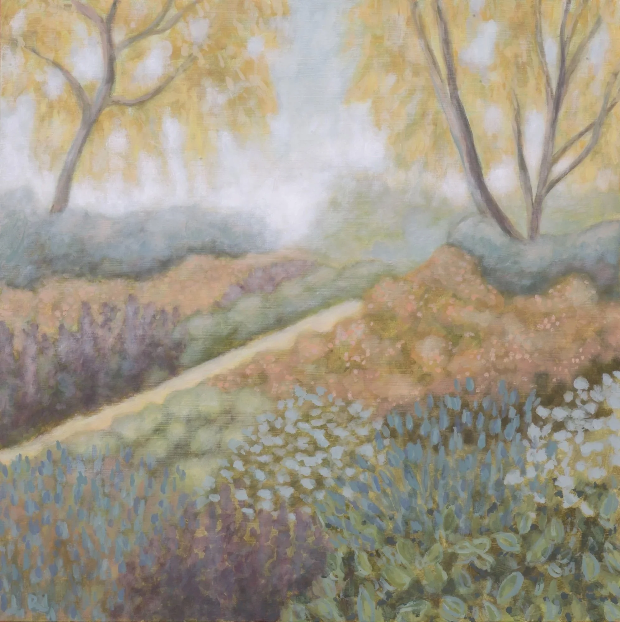Palo Verde   16 x16"   Oil on Panel