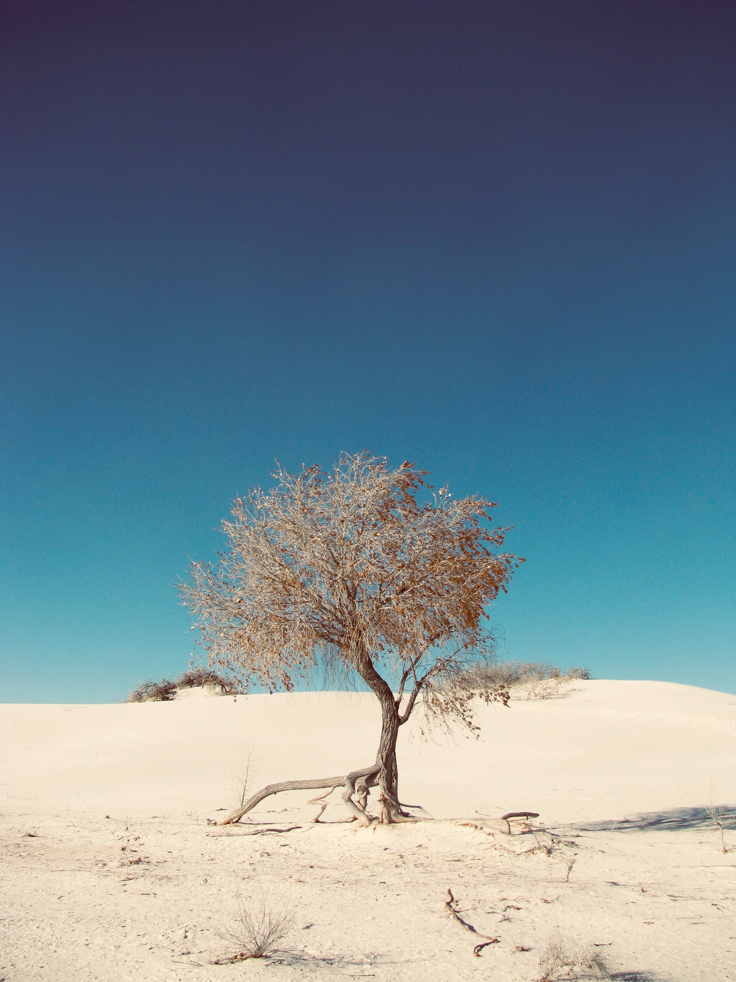 Le désert blanc