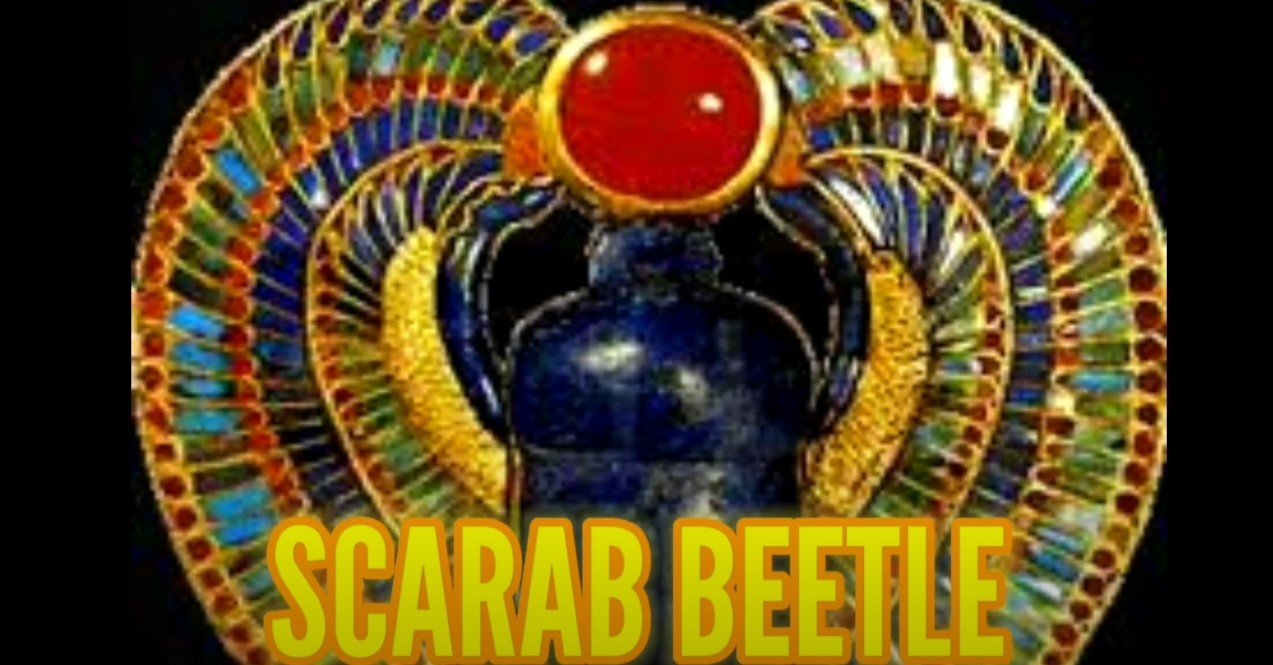 Egypt Workshop - Scarab Beetle