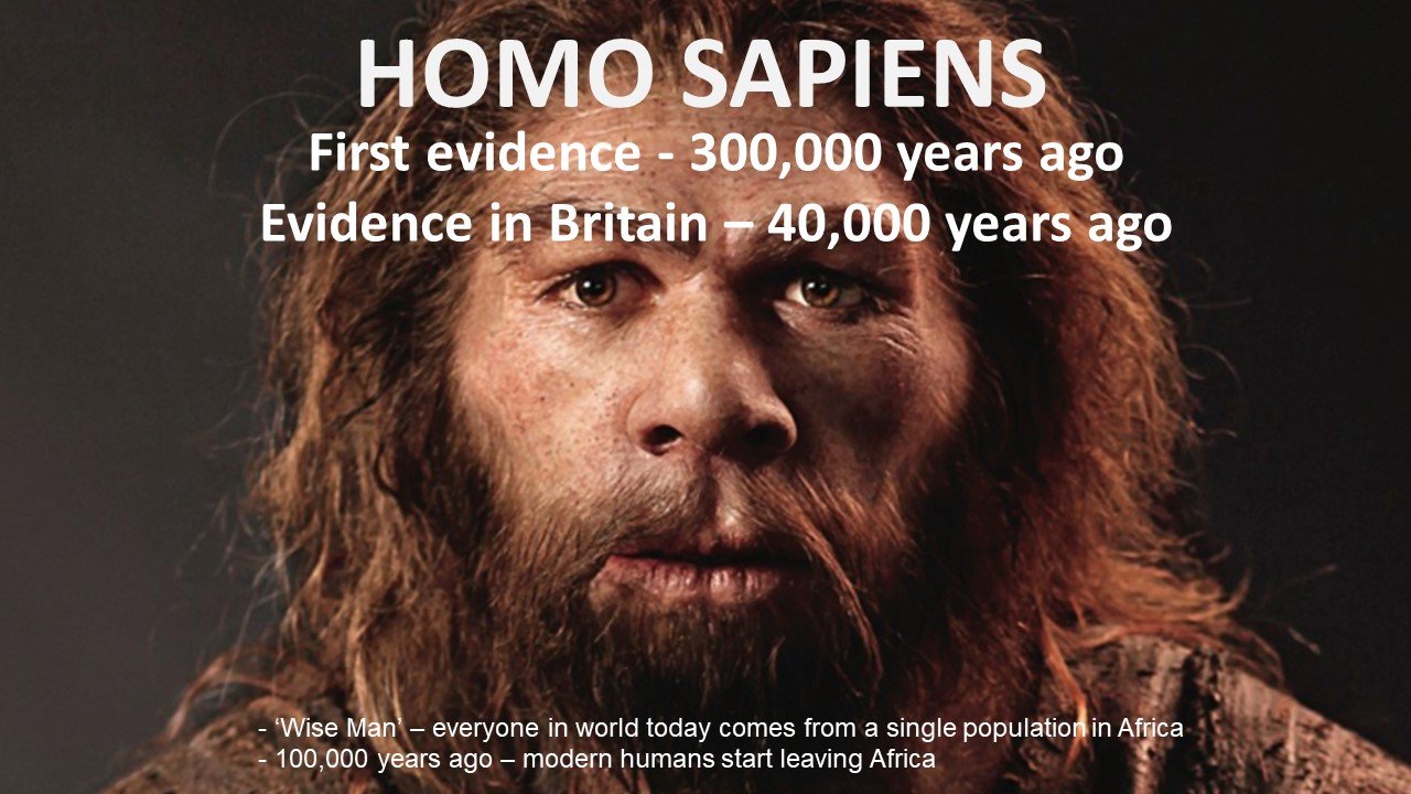 Stone Age School workshop - Homo Sapiens