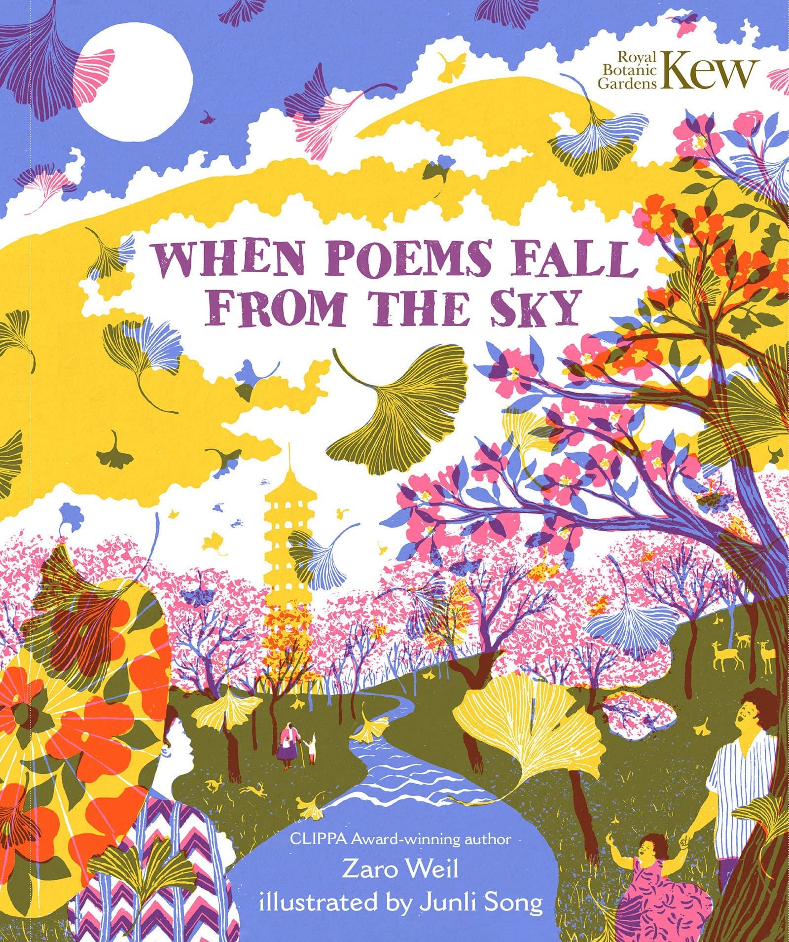 When Poems fall From the Sky by Zaro Weil - Book Cover