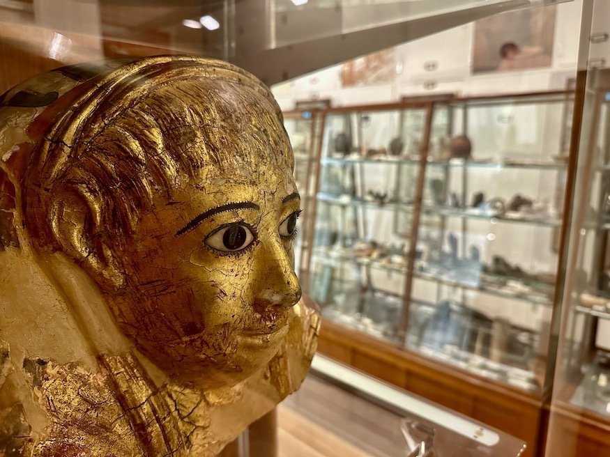 Petrie HOD image 4.jpg