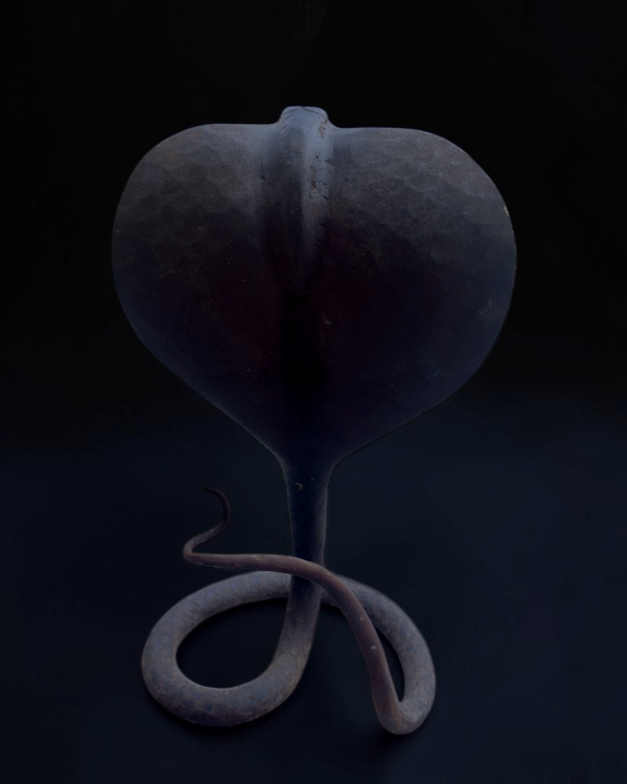 vivioli - cobra v2 (3).png