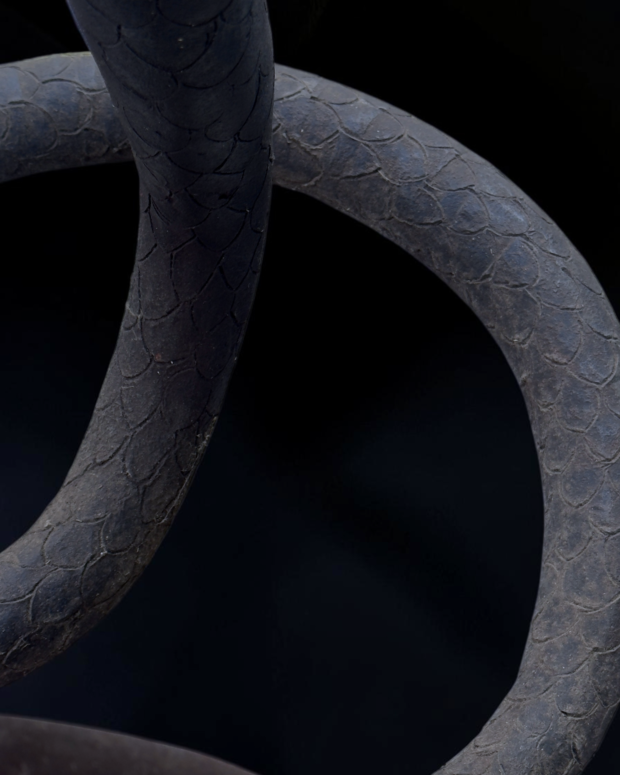 vivioli - cobra v2 (11).png