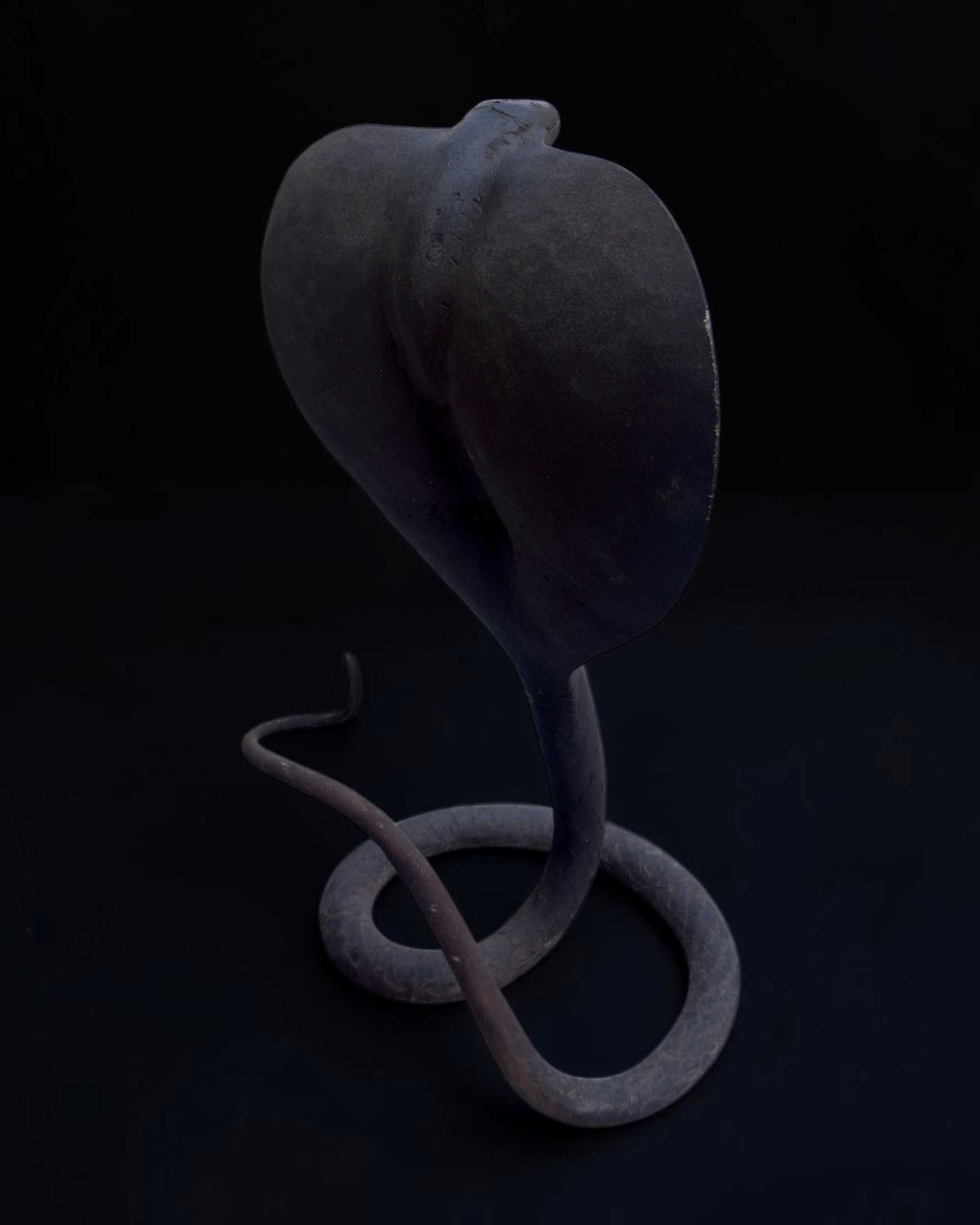 vivioli - cobra v2.png