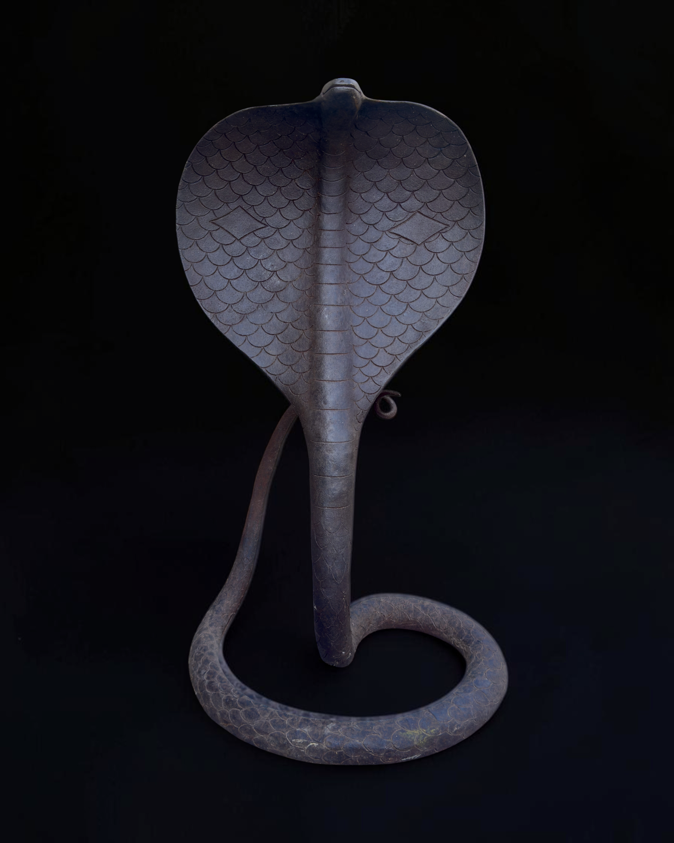 vivioli - cobra v2 (5).png