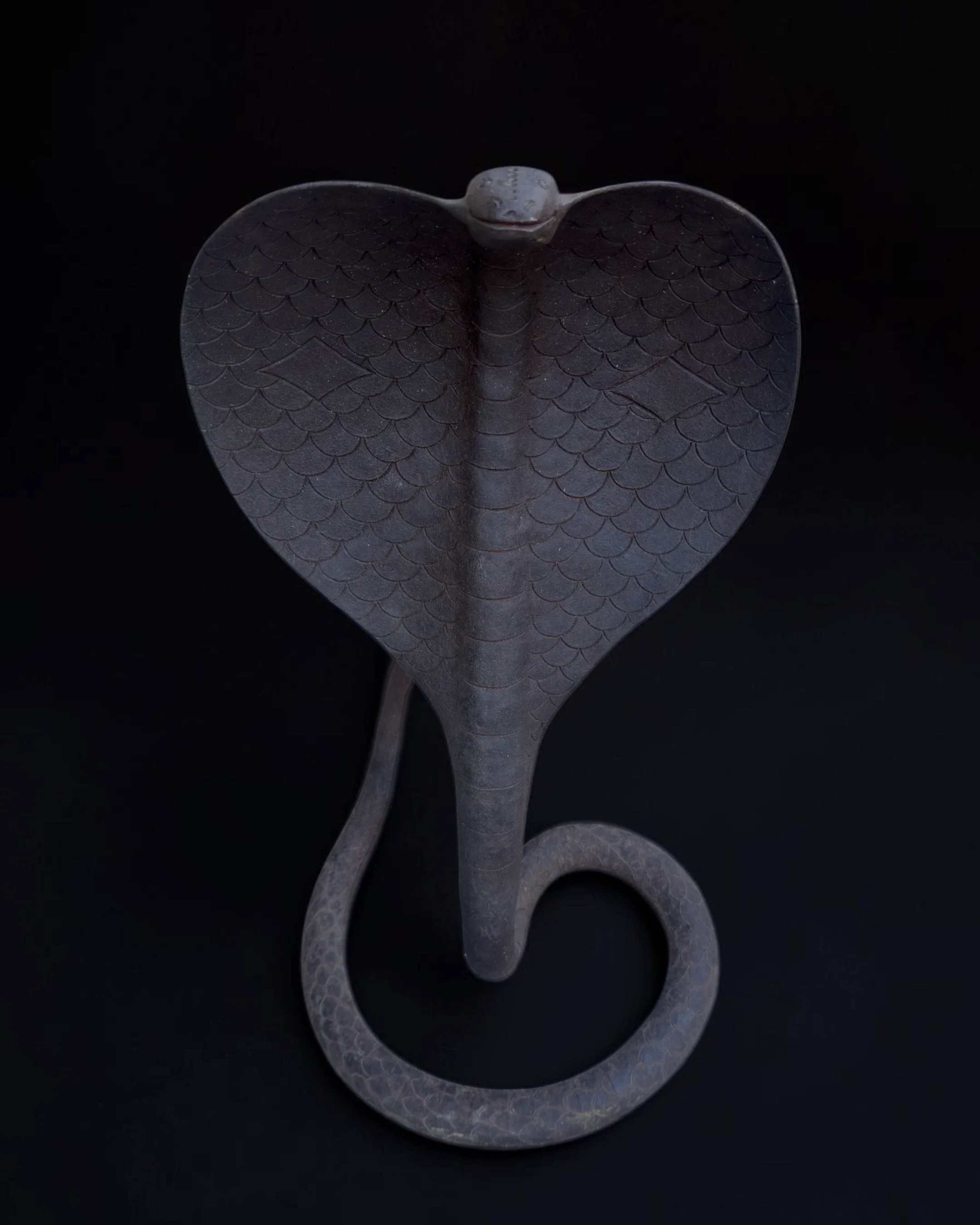 vivioli - cobra v2.webp