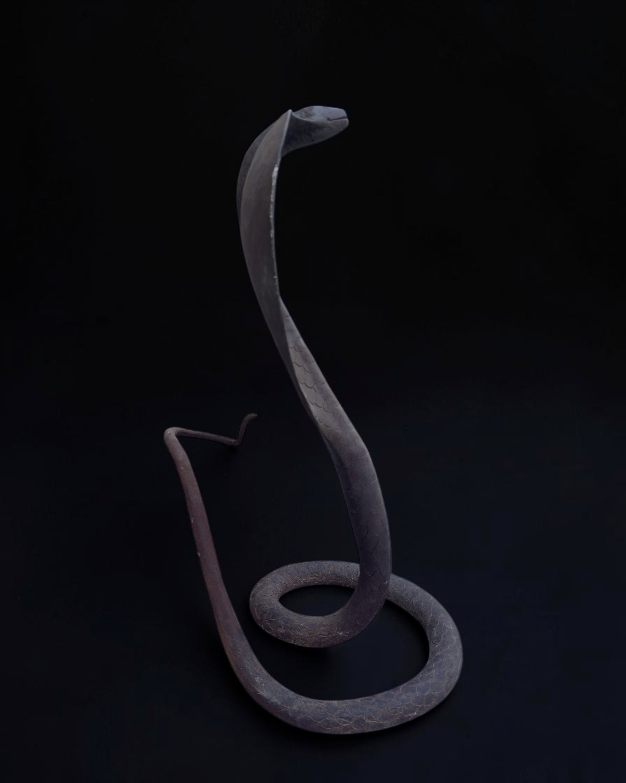 vivioli - cobra v2 (2).png