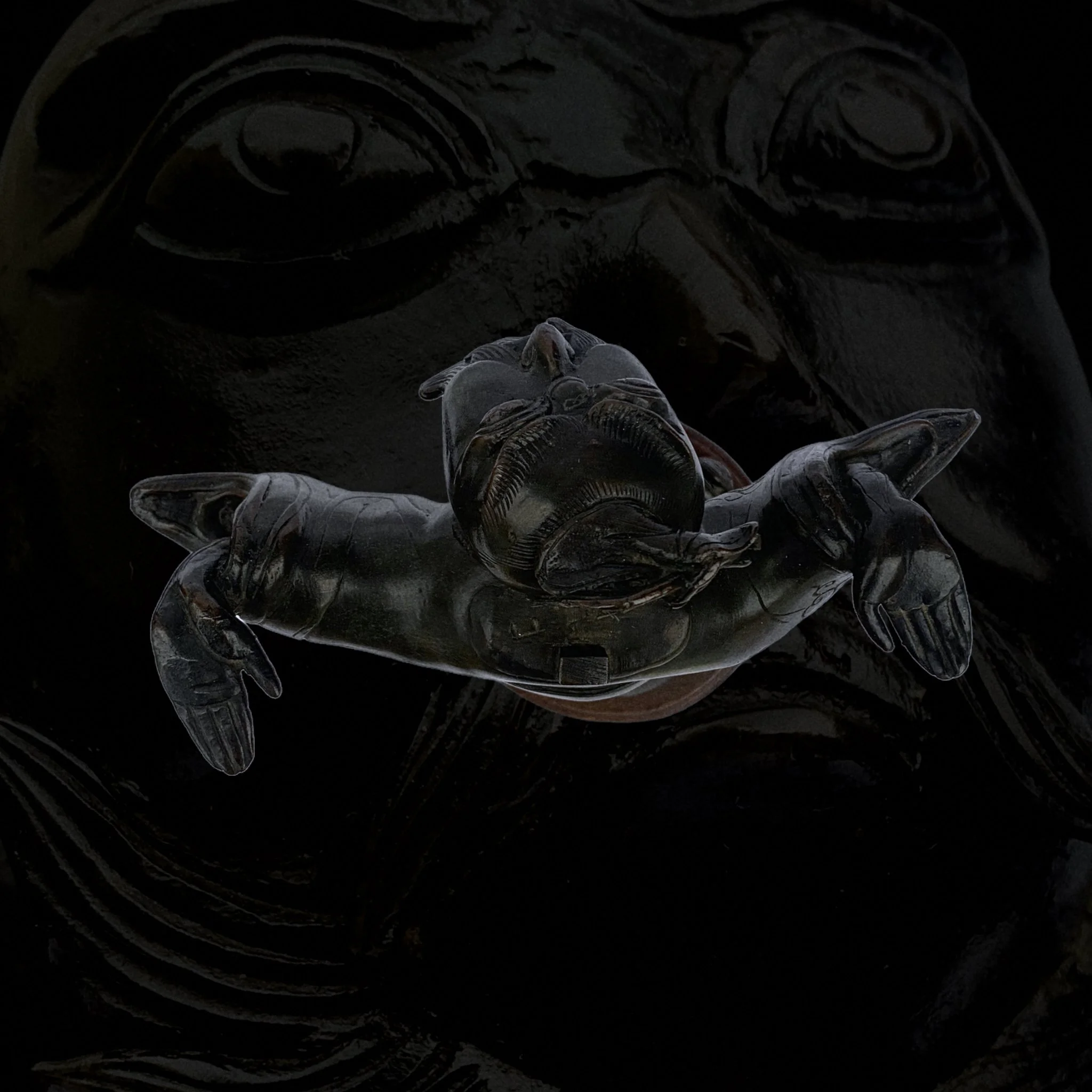 Close-up of a carved artifact depicting a fish with detailed fins and body, set against a dark background.