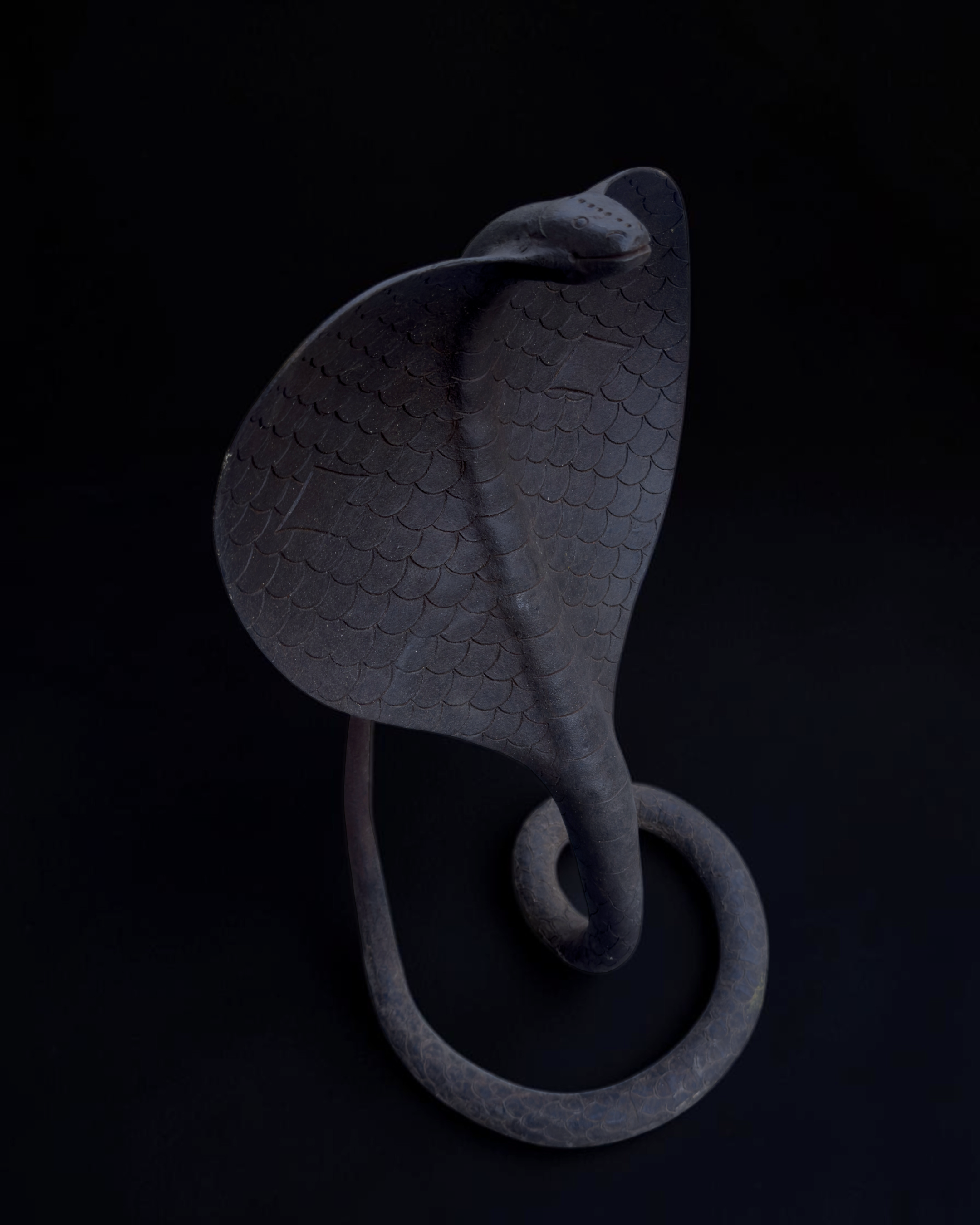 vivioli - cobra v2 (1).png