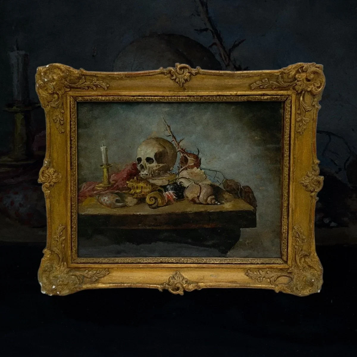 SOLD: Still life with vanitas and shells