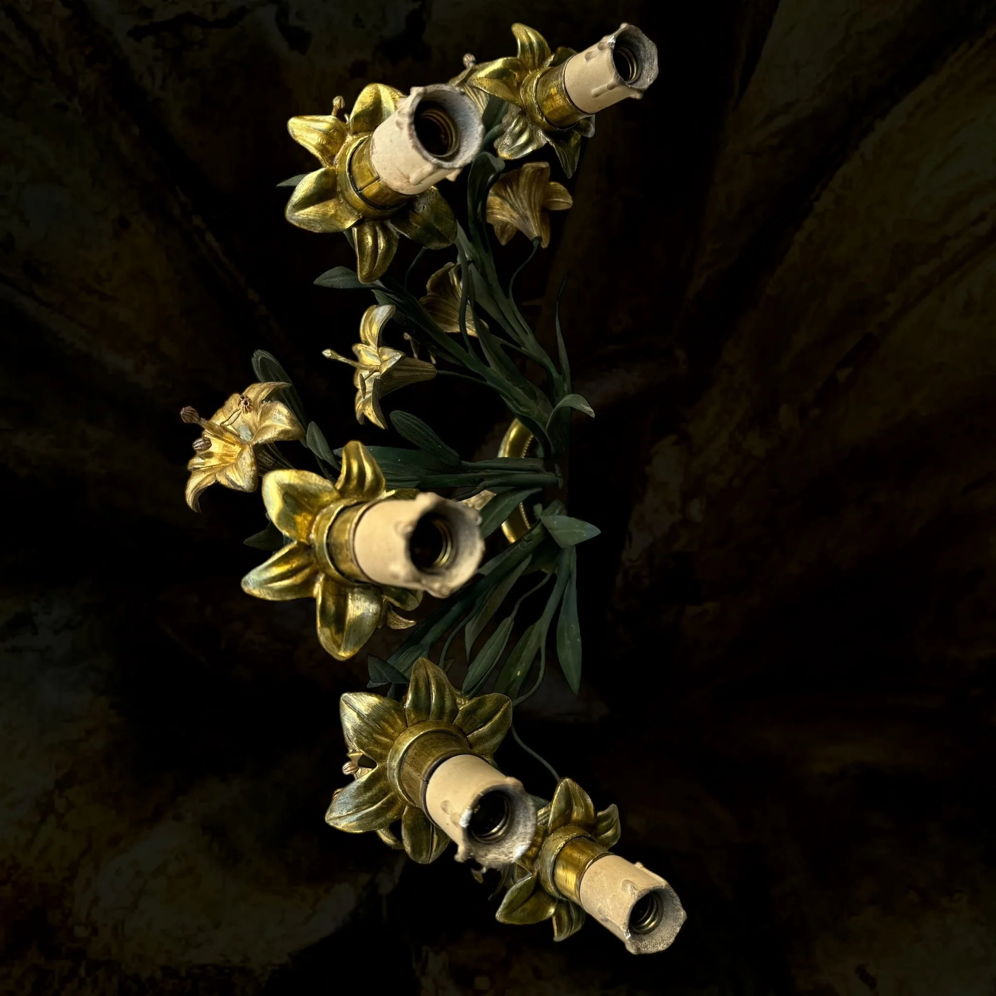IMG_0080.png