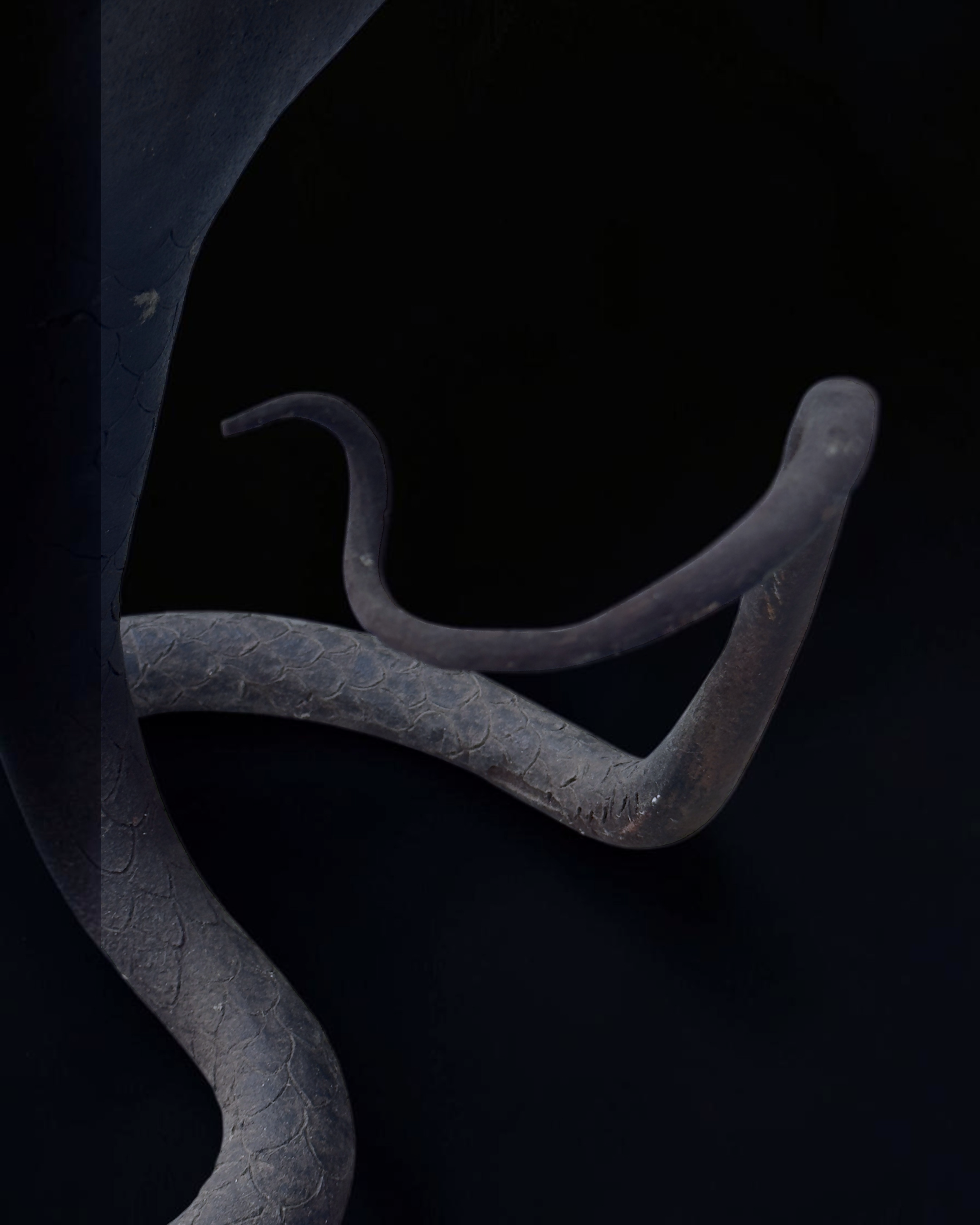 vivioli - cobra v2 (9).png