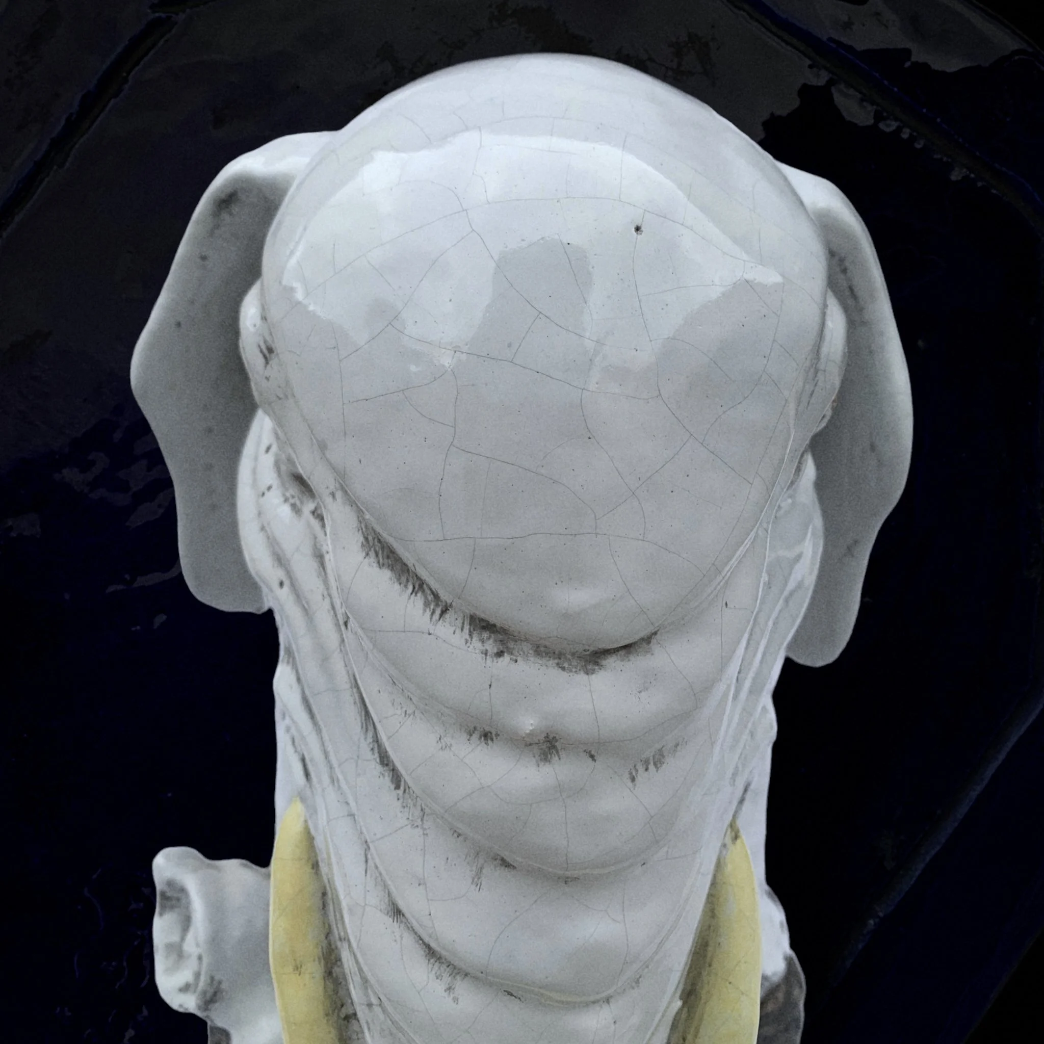 A white ceramic bust sculpture with a crackled finish, viewed from above, showing the top of the head and part of the shoulders against a dark background.