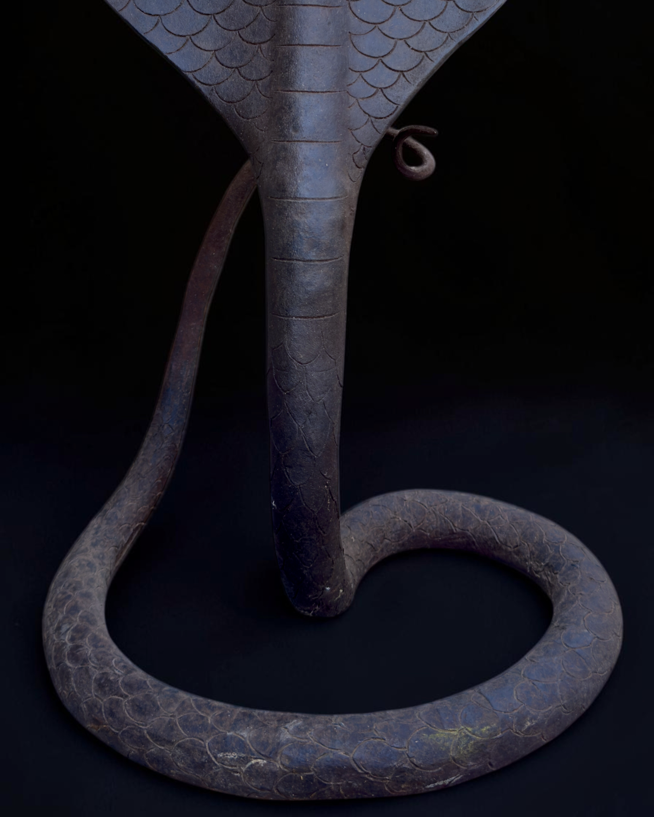 vivioli - cobra v2 (4).png