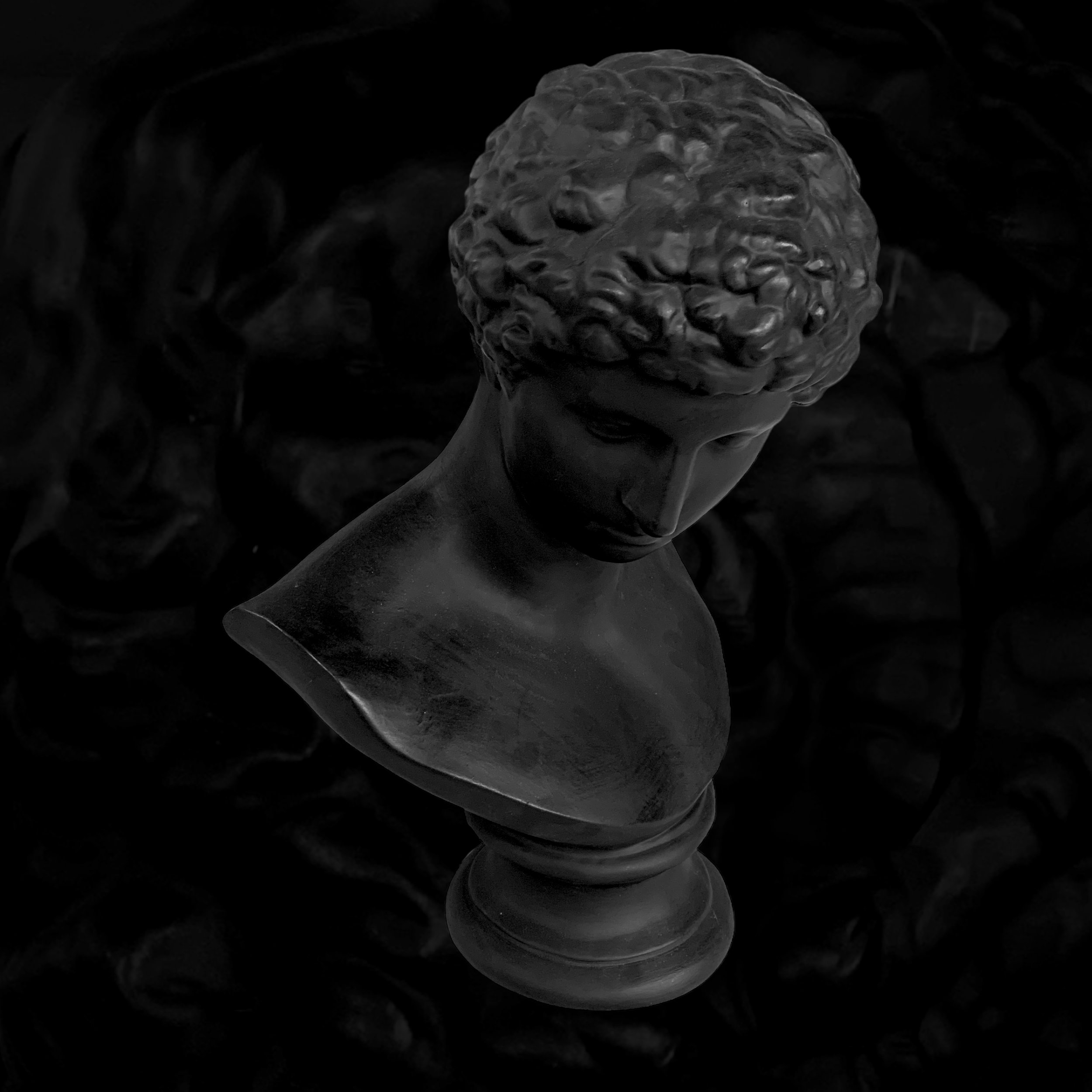 Black marble bust sculpture of a young man with curly hair, photographed against a dark background.