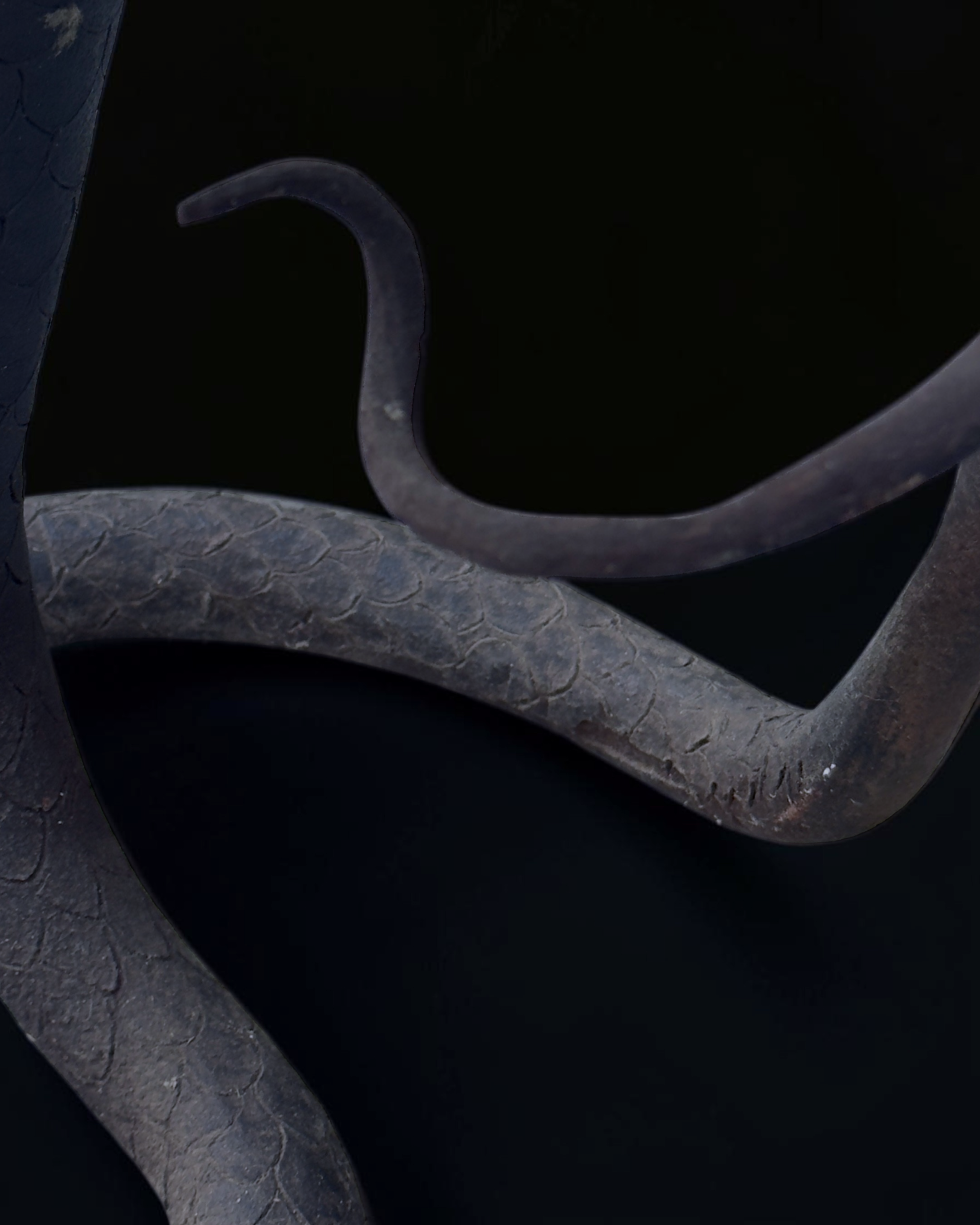vivioli - cobra v2 (10).png