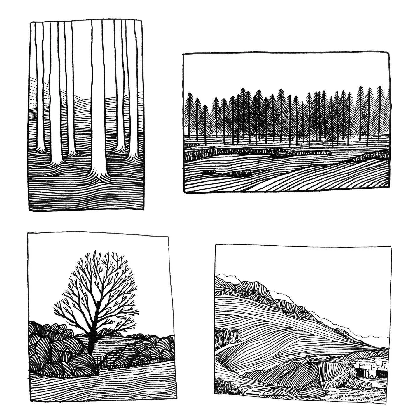 I've had some lovely messages recently asking whether I take pen and ink commissions. So l've decided to offer just that.

Send me a photograph of a landscape that means something special to you, I&rsquo;ll illustrate your moment in my unique black l