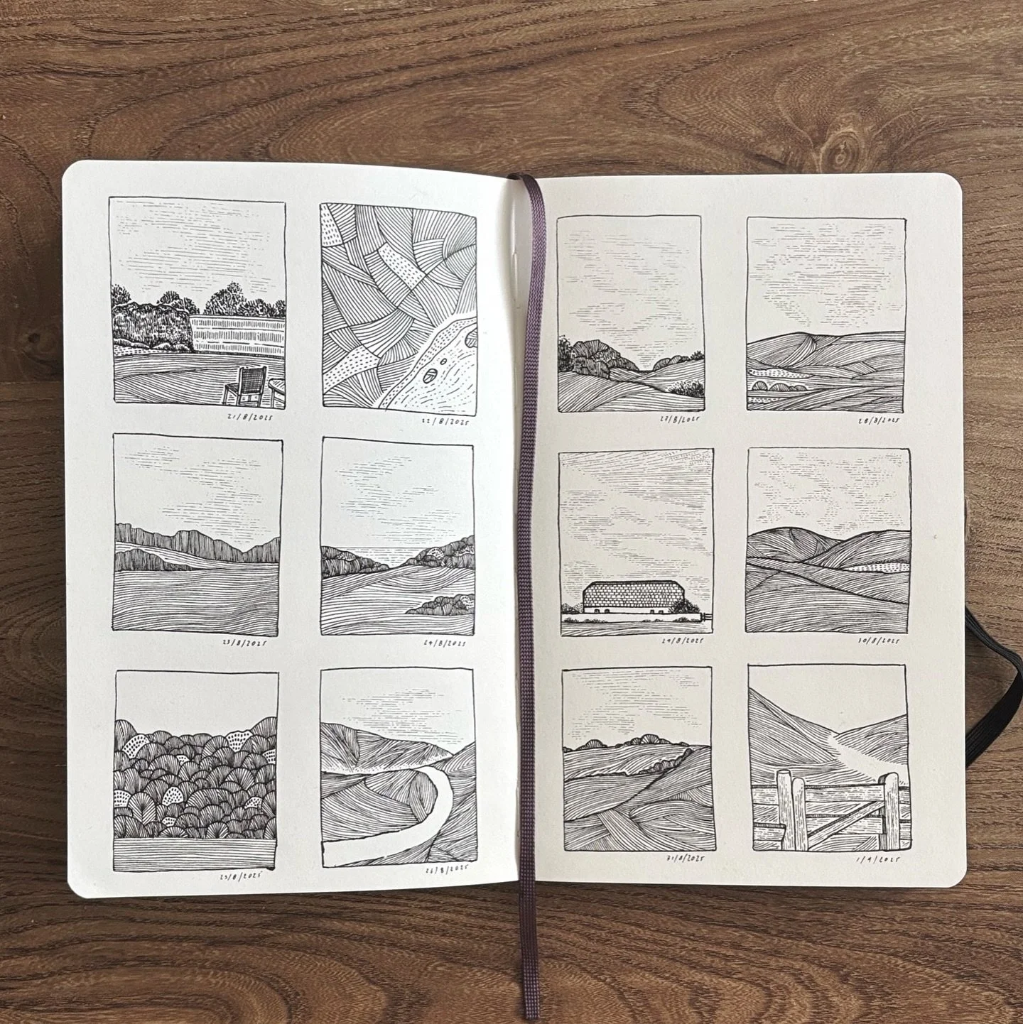 Daily drawing. 21 August - 1 September 2025.

The last twelve days I feel like we&rsquo;ve said goodbye to summer and started to embrace the beginning of autumn. 🍂 

#startwithasquiggle

#purbeck #penandinkart #sketchbook #dailydrawing #blackandwhit