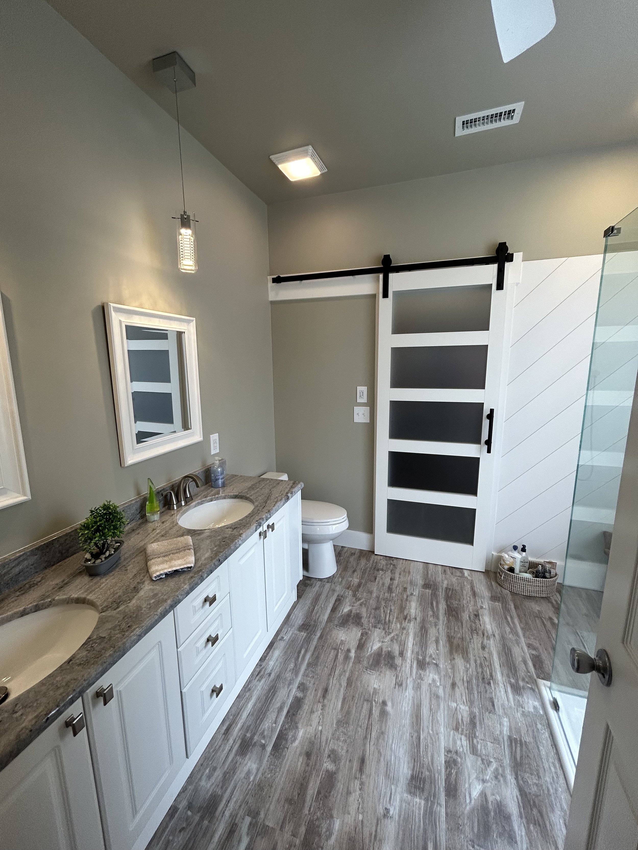 New LVP flooring and barn-door