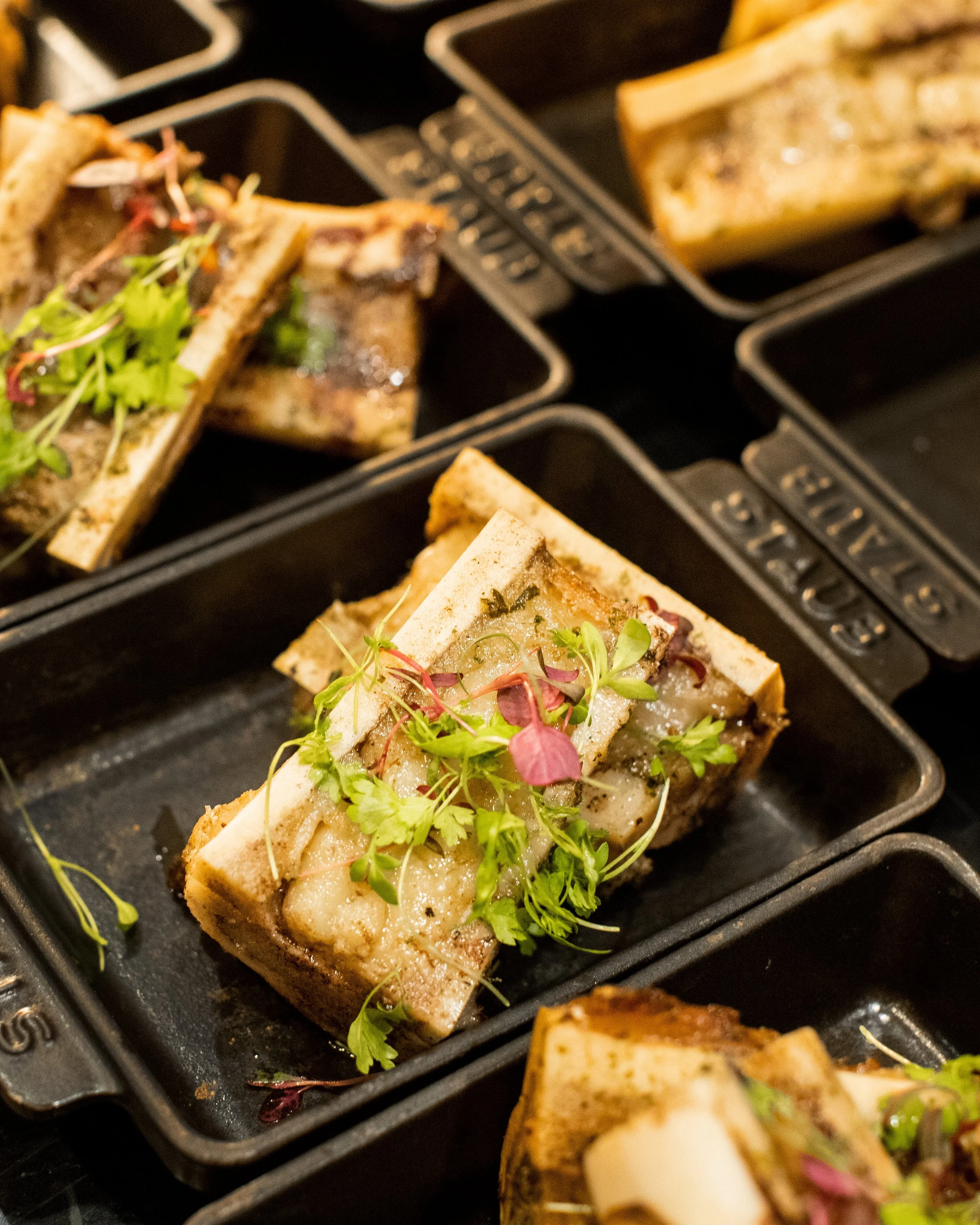 bone marrow.jpg