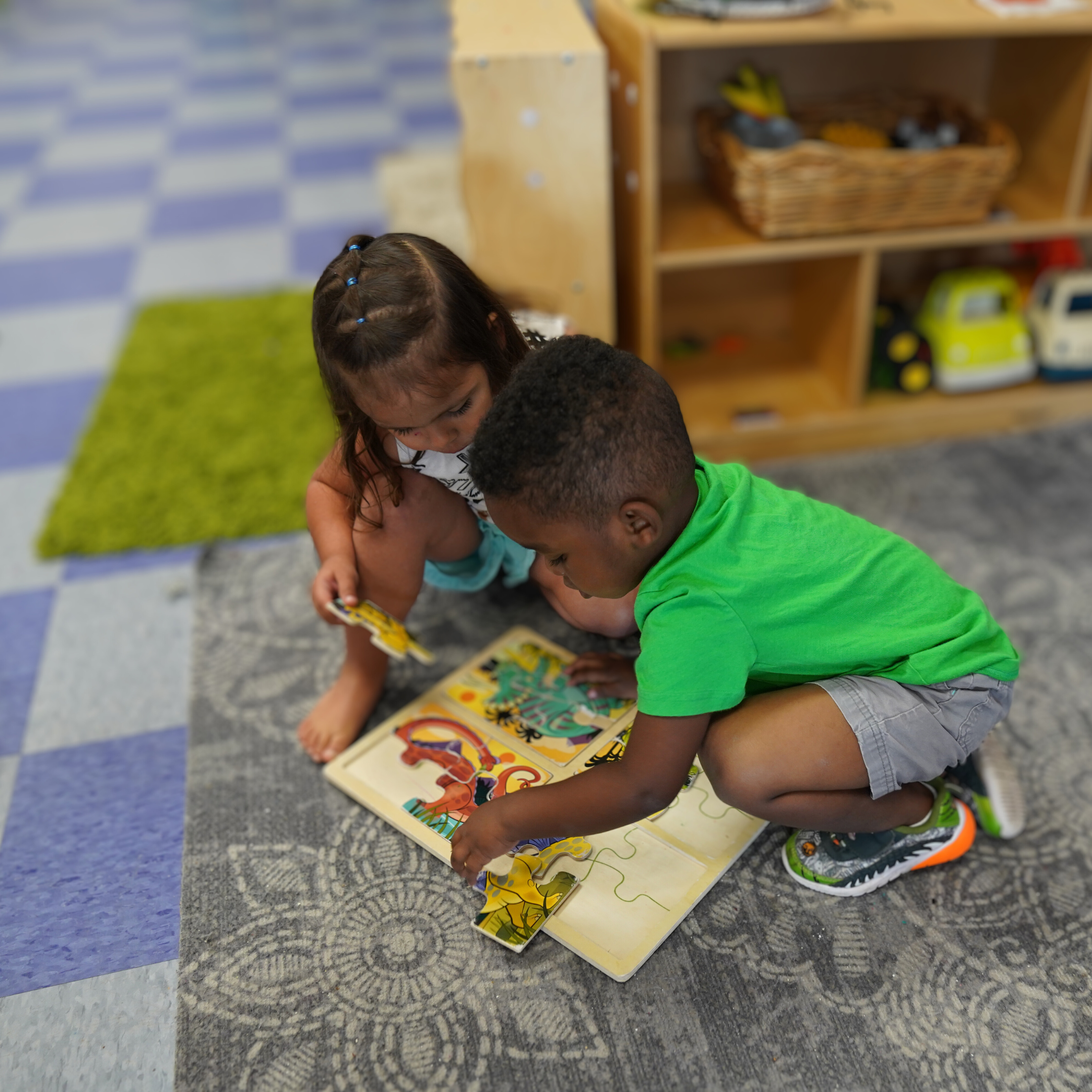 Guiding the Growth: Exploring Developmental Stages with Open Minds