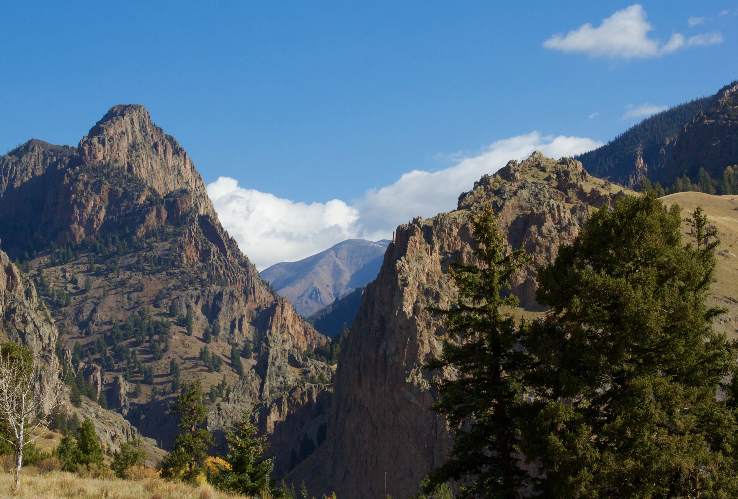   The Heart of Creede   in the heart of Creede   Visit Us  